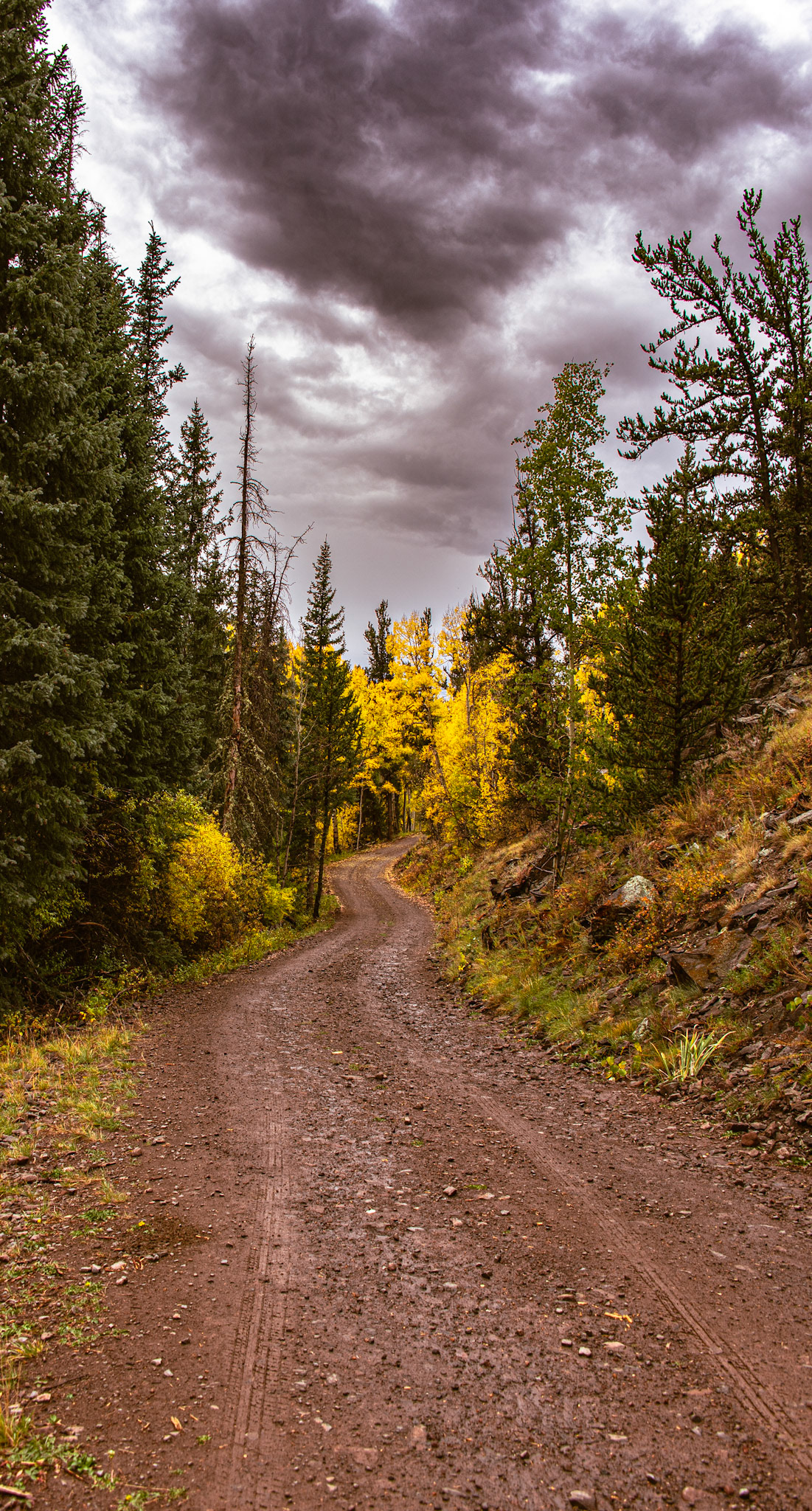 I was driving up the trail and didn't realize the scene behind me.  Could do without my tread marks, but still happy with it.