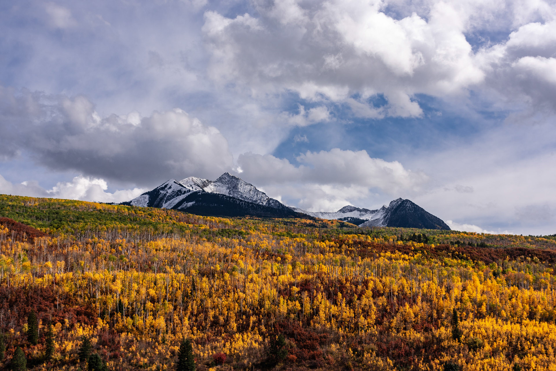 Raggeds Wilderness #1