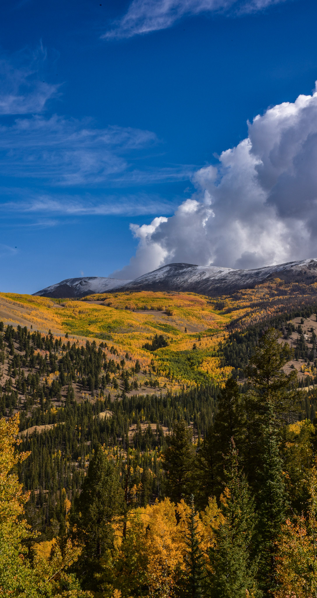 The La Garita Wilderness