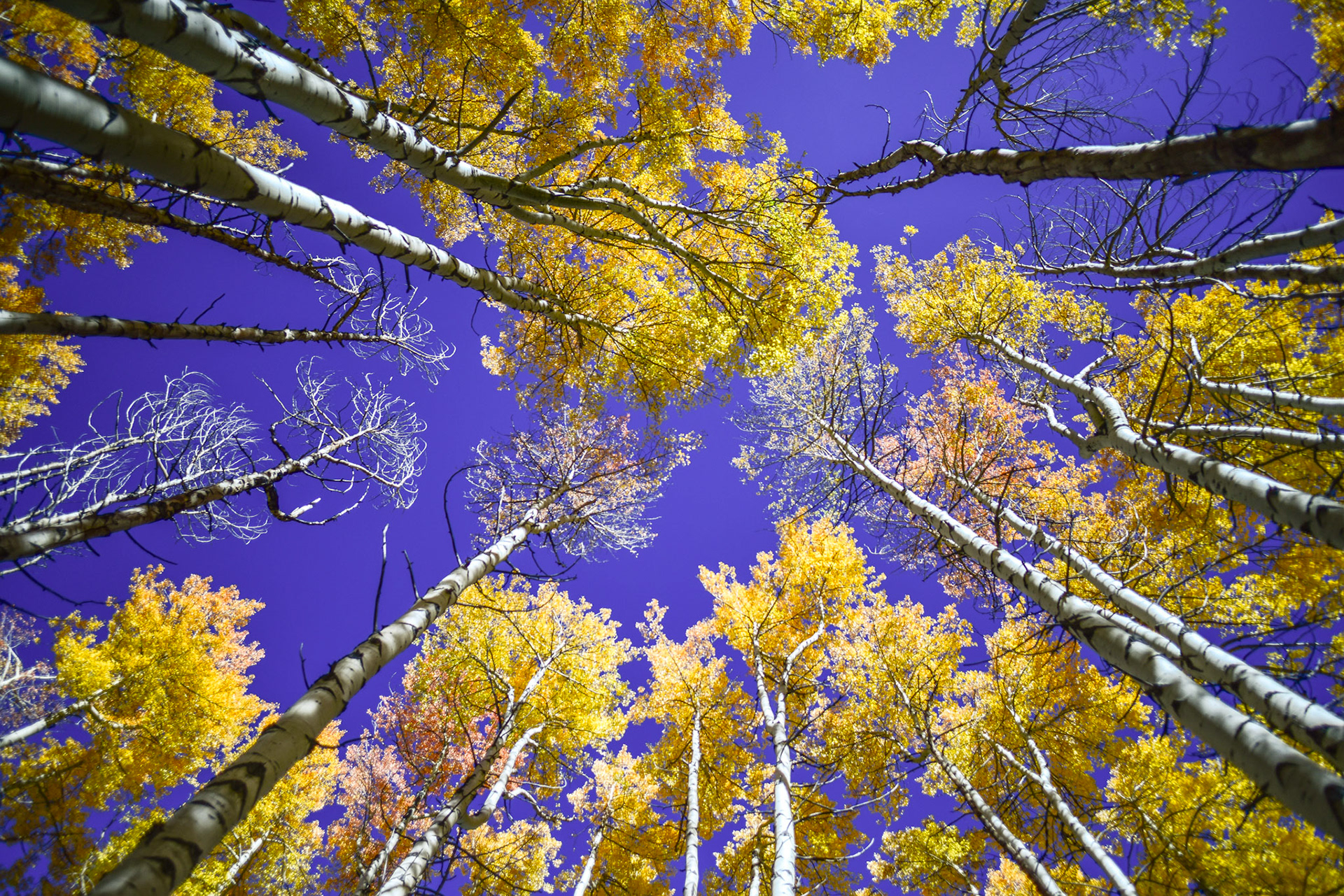 @kpphotogalleries.com