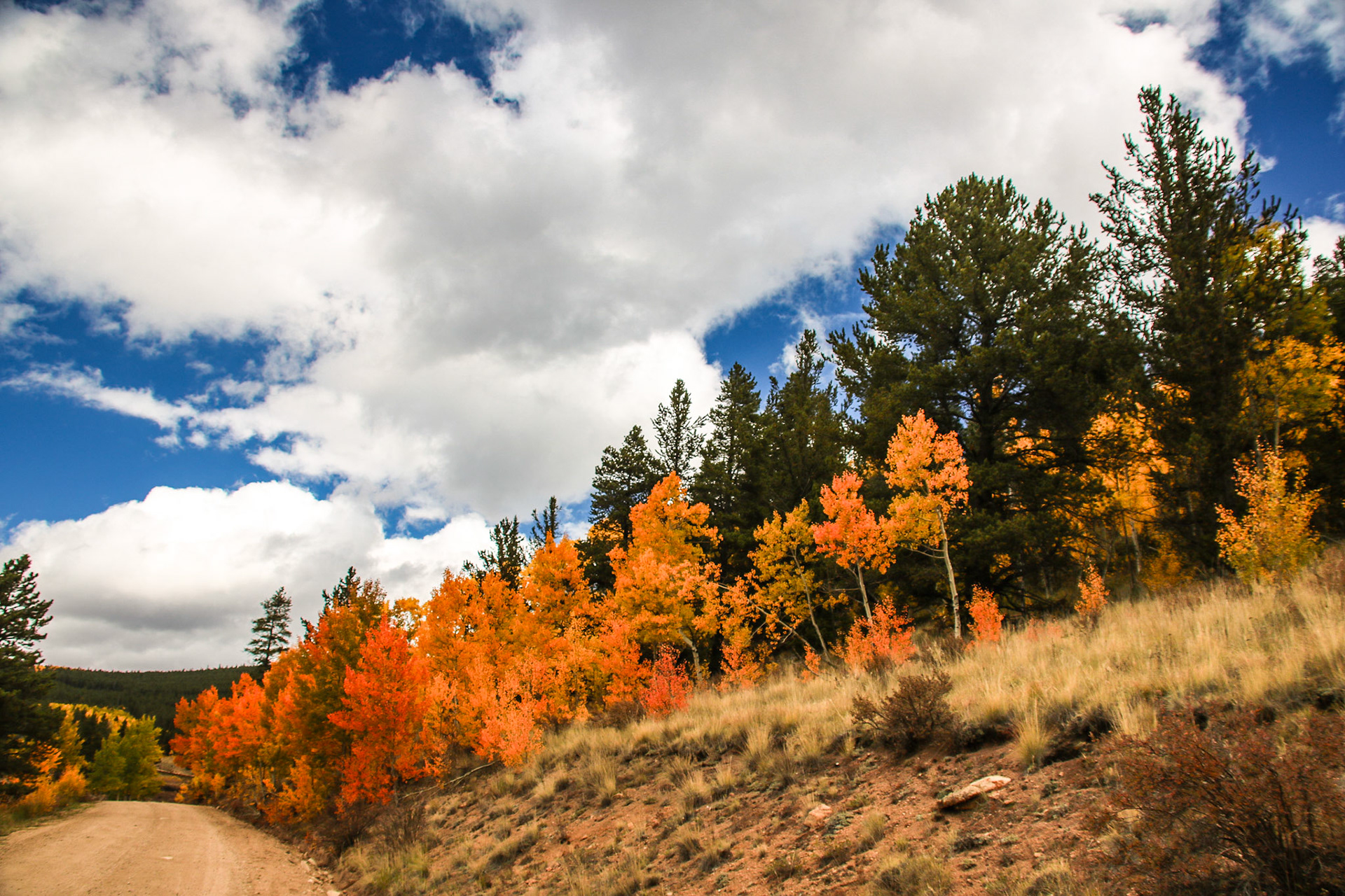 The first Autumn photo I ever captured with my T6i. @kpphotogalleries.com