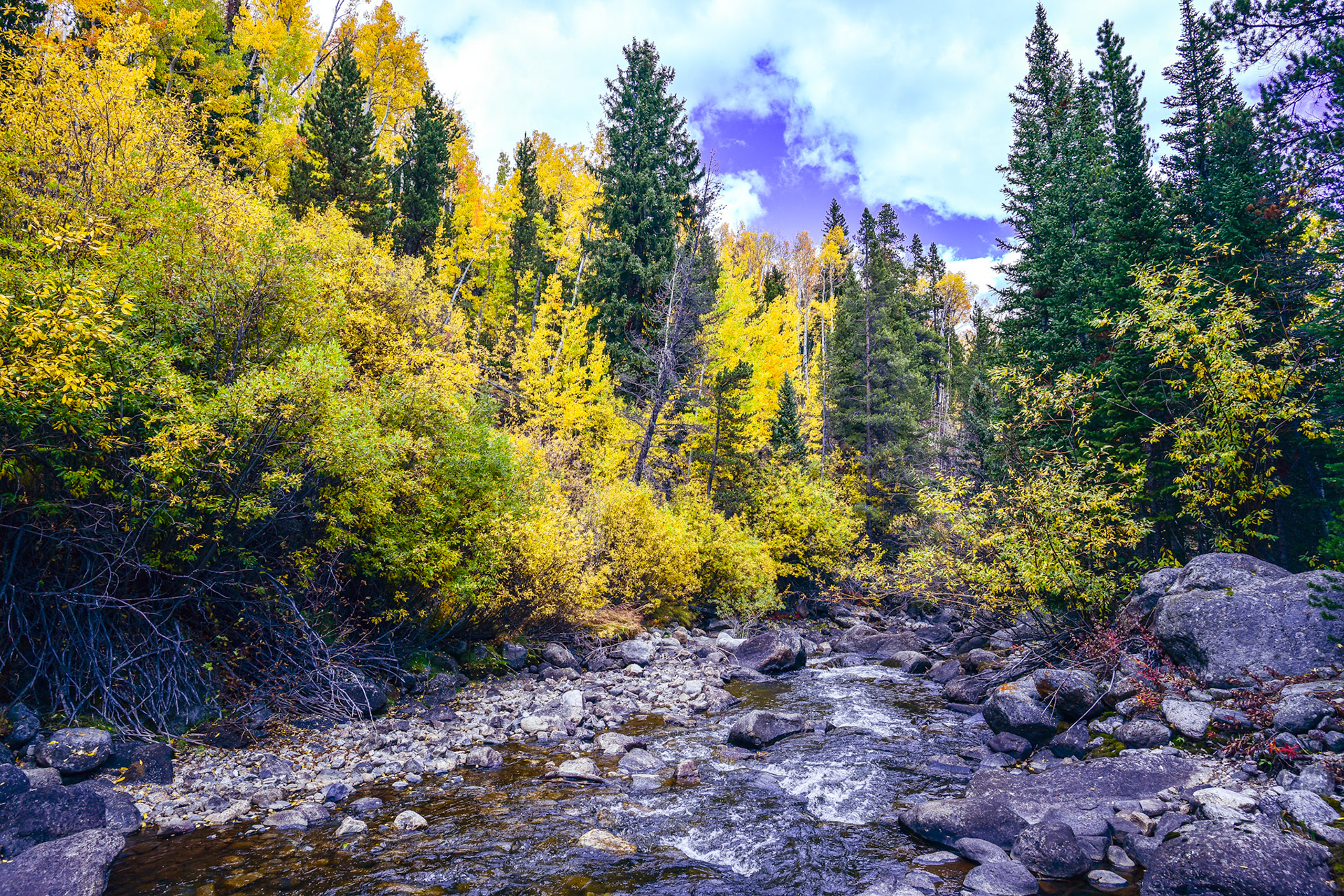 @kpphotogalleries.com