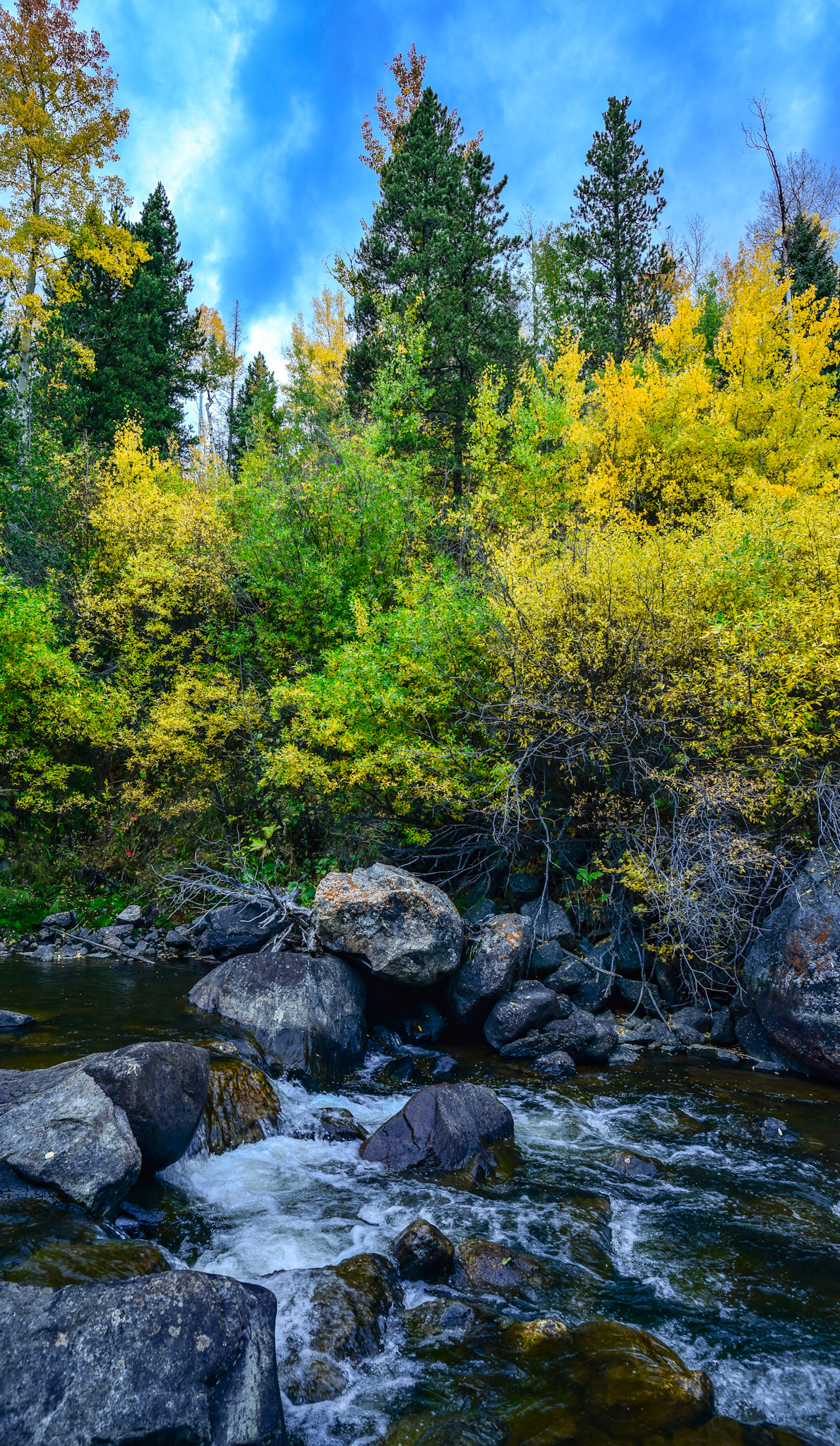 @kpphotogalleries.com