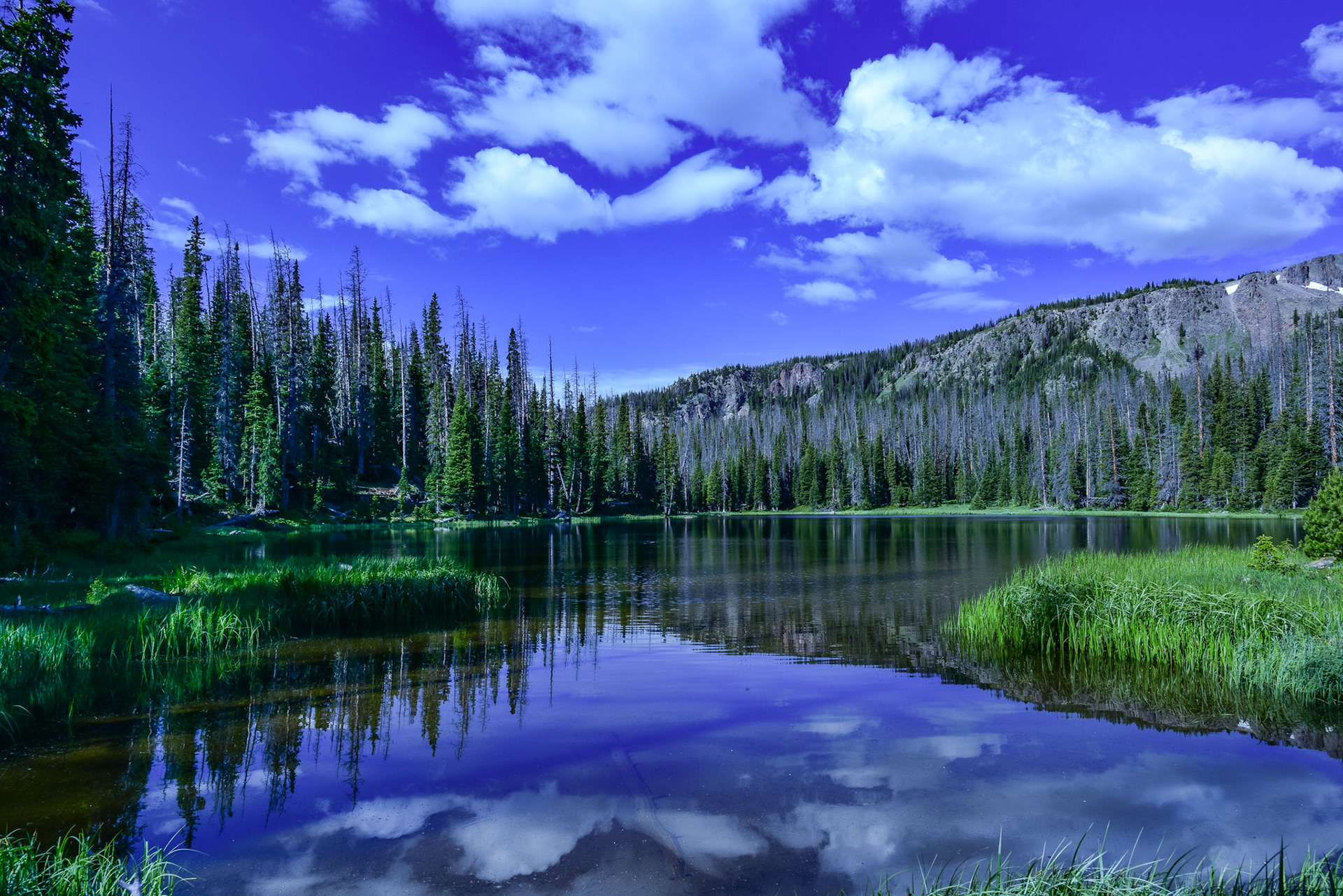 I owe my love of the mountains to my Dad.  A cow moose and her two calves were feeding here upon my very first visit.