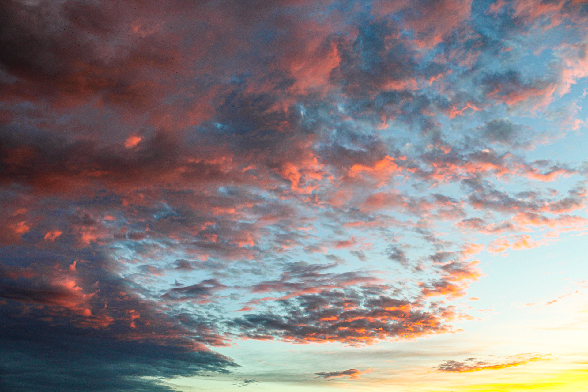 "Cotton Candy"