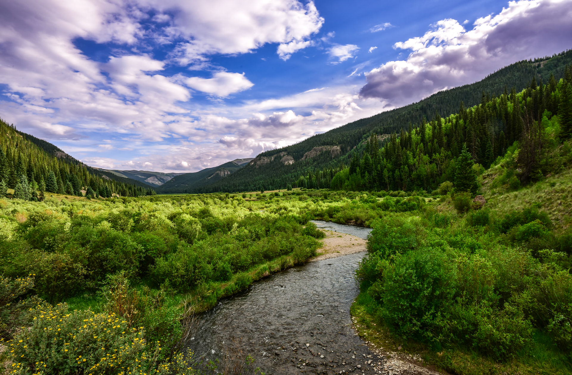 Will never disclose this location.  Fight me.