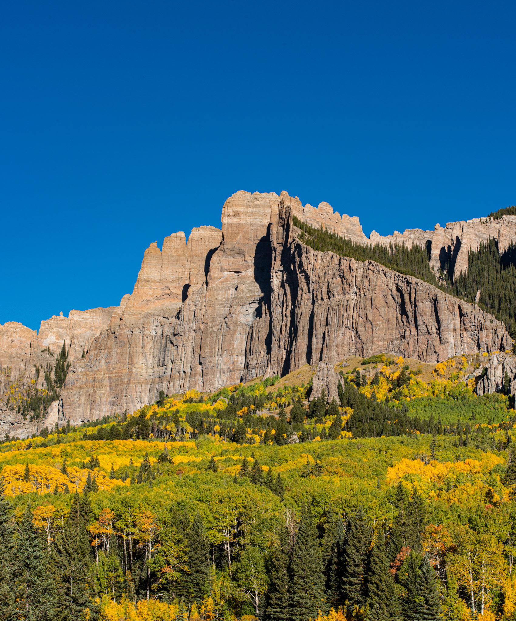 Gunnison National Forest #6