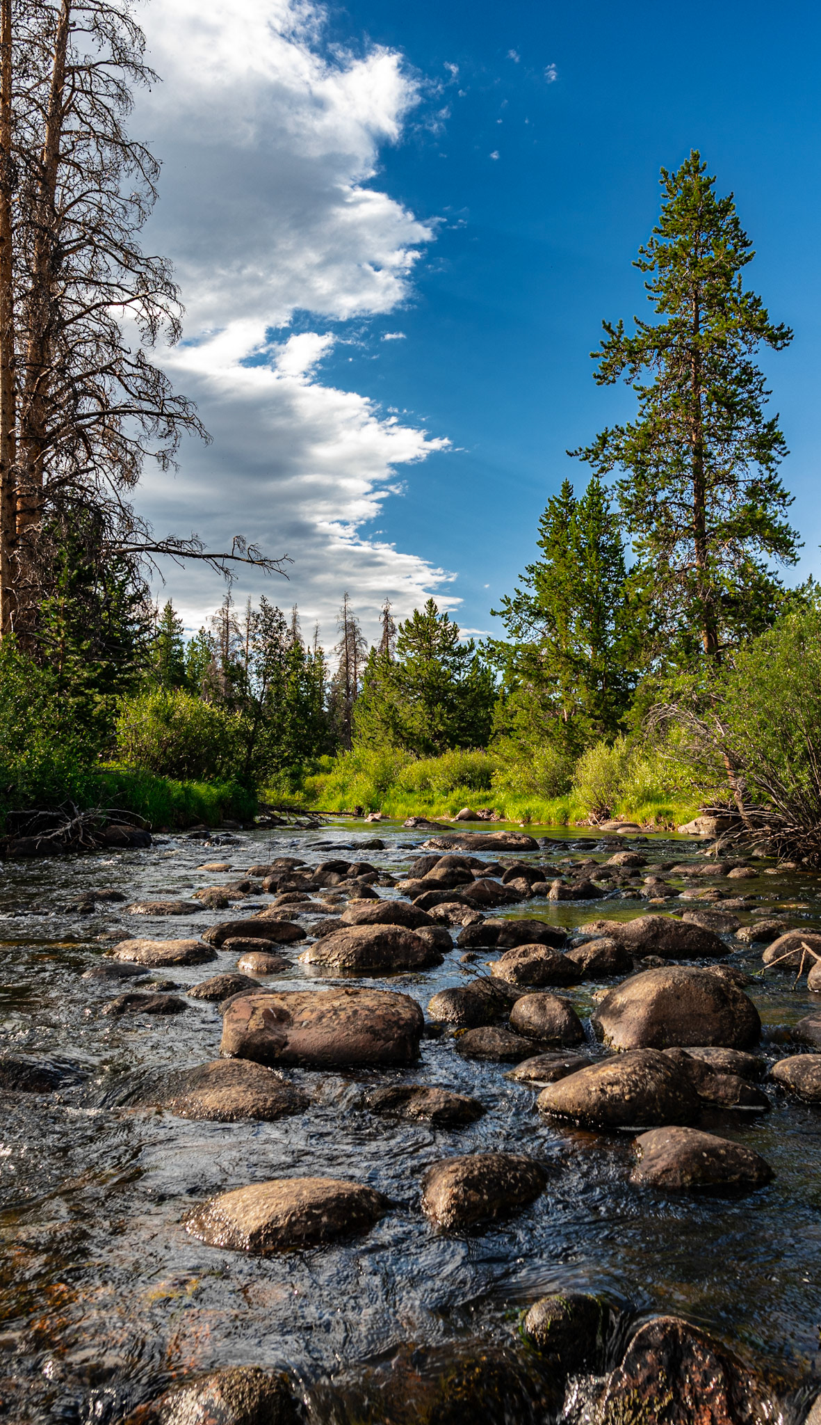The Laramie River