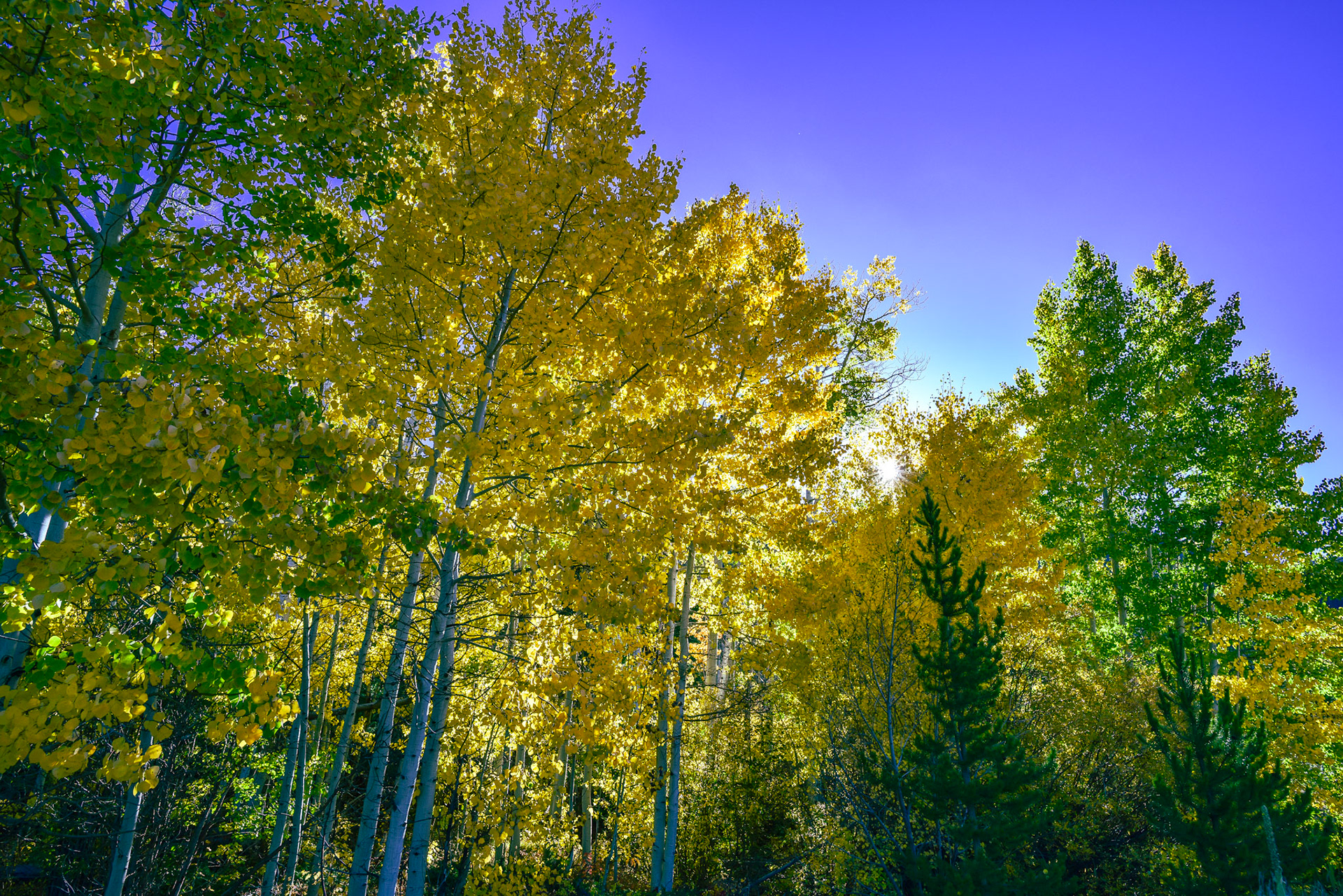 @kpphotogalleries.com