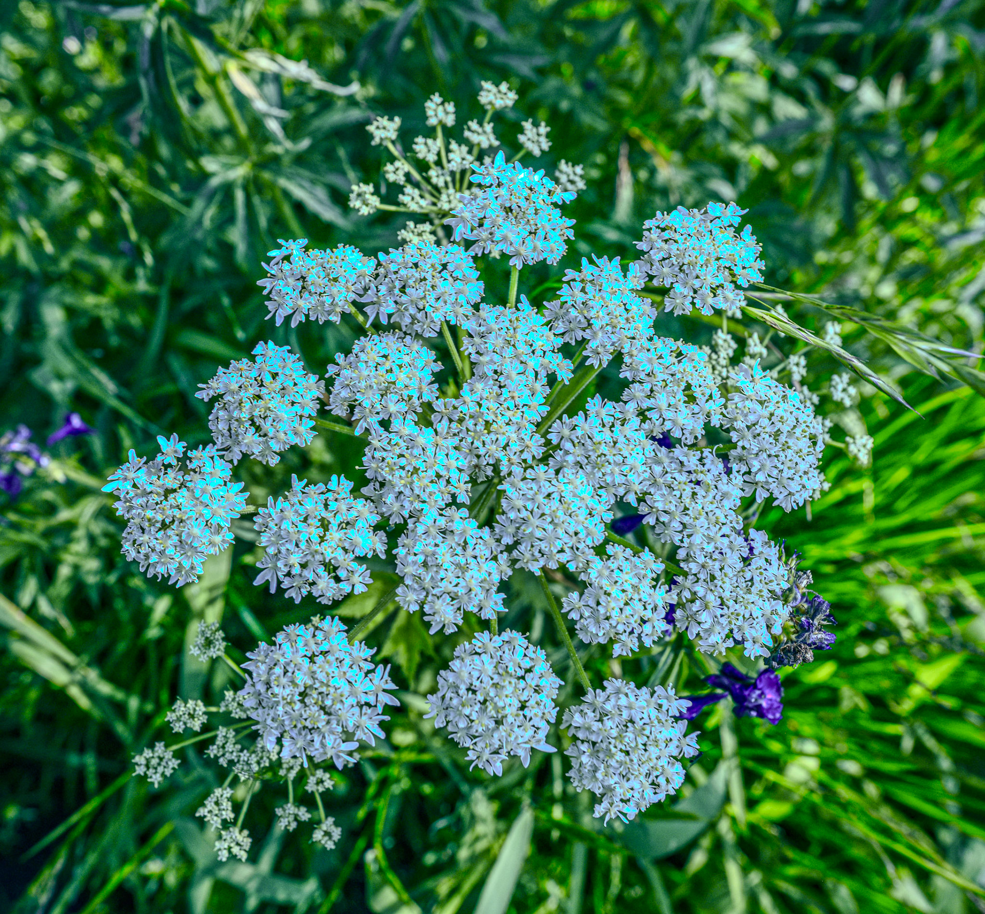 @kpphotogalleries.com