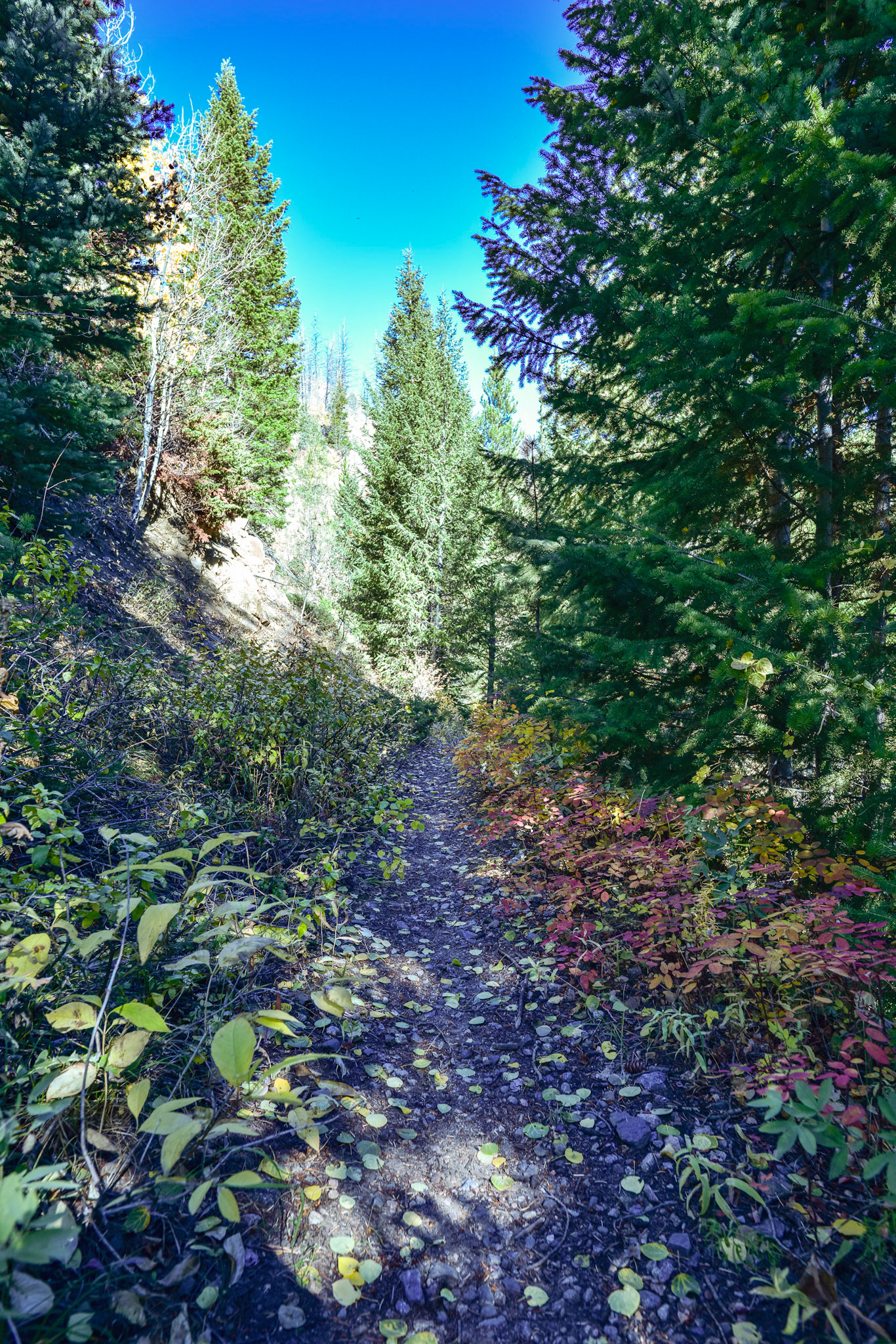 @kpphotogalleries.com