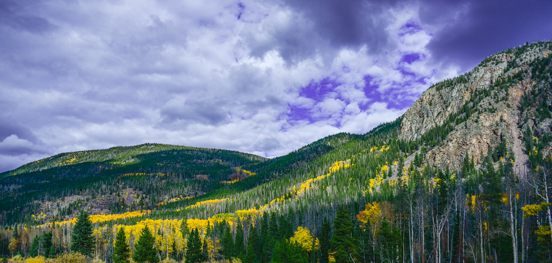 @kpphotogalleries.com