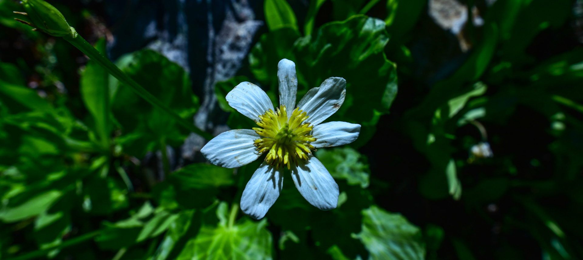 @kpphotogalleries.com
