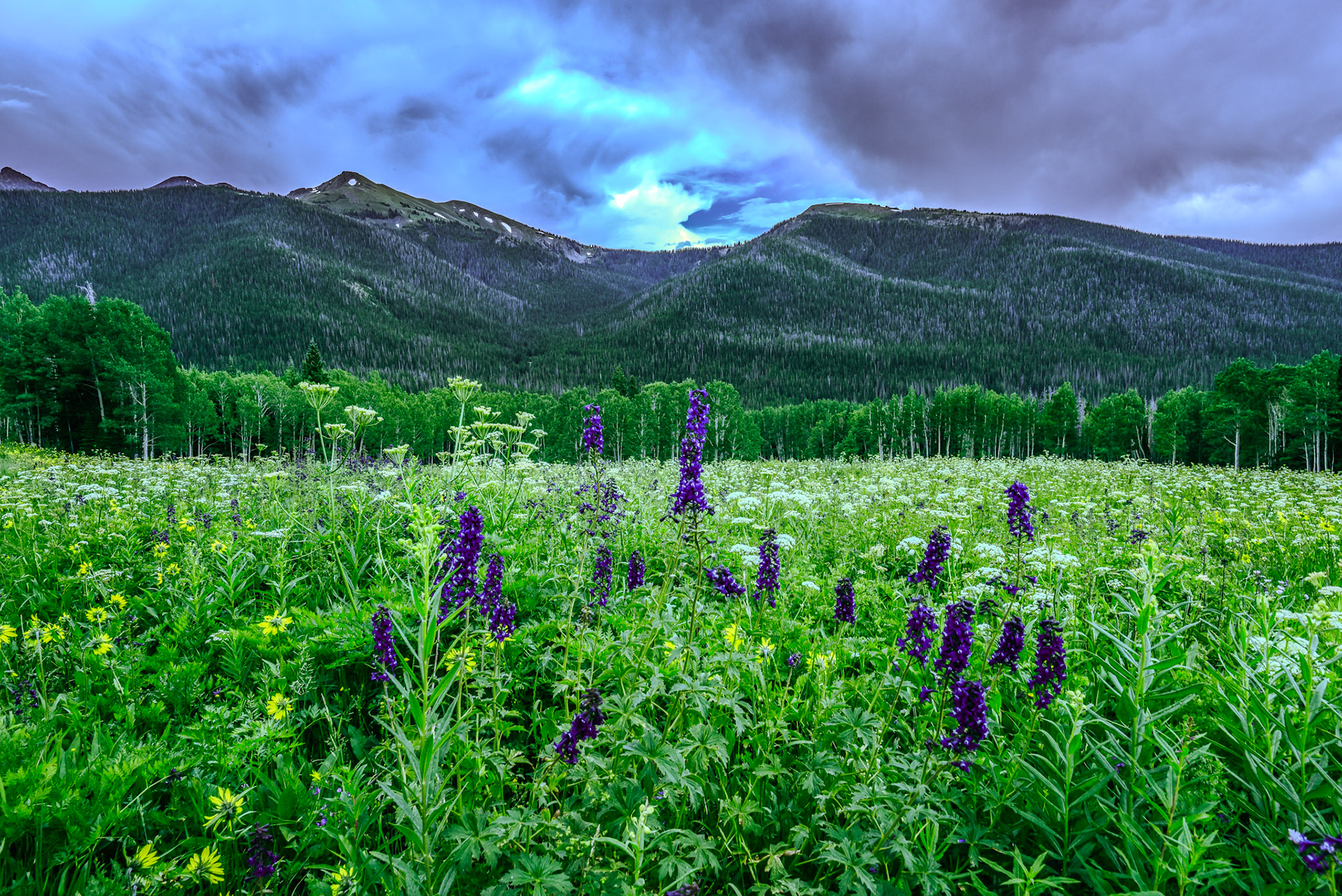 Exactly what I was seeking with this excursion. @kpphotogalleries.com