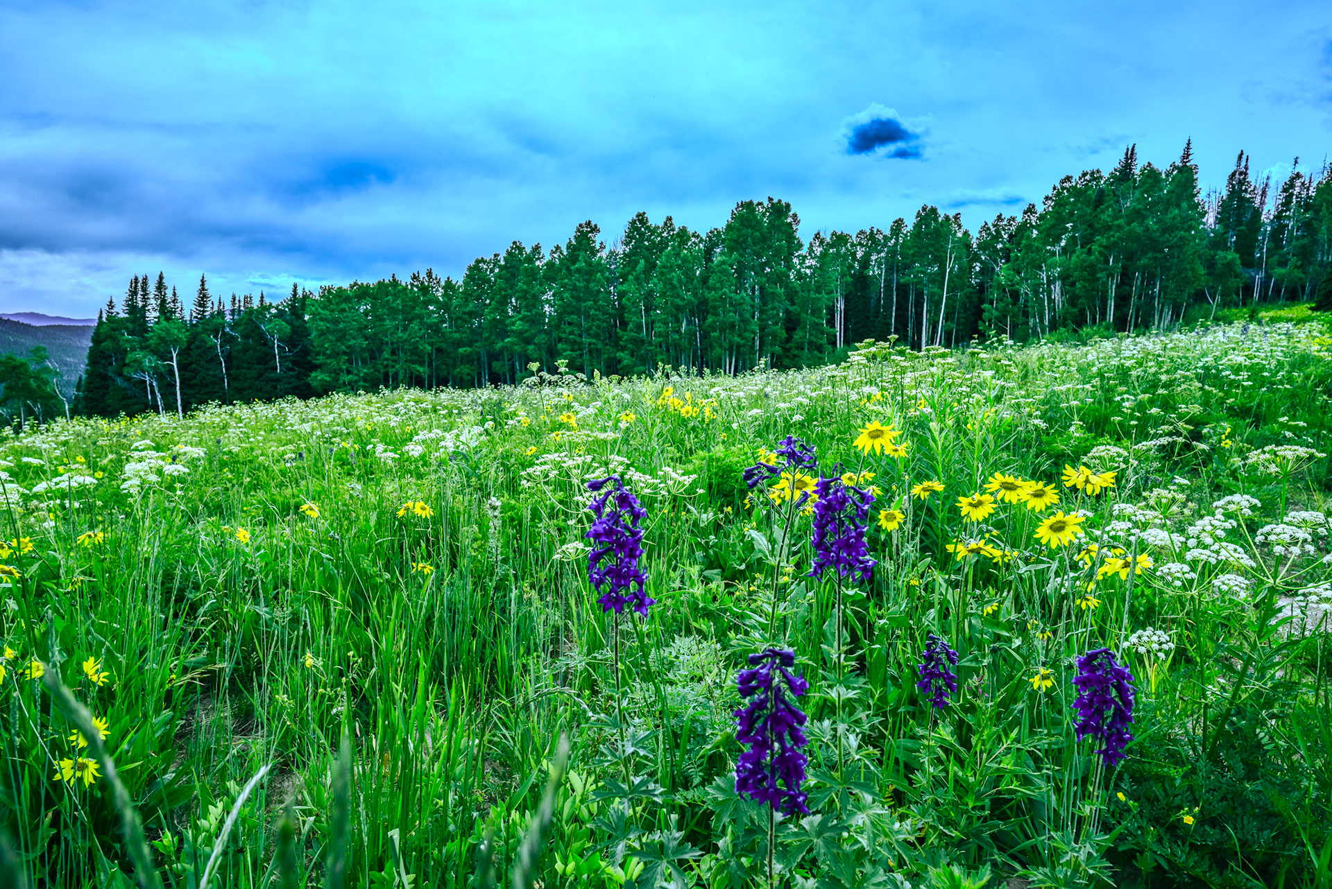 @kpphotogalleries.com