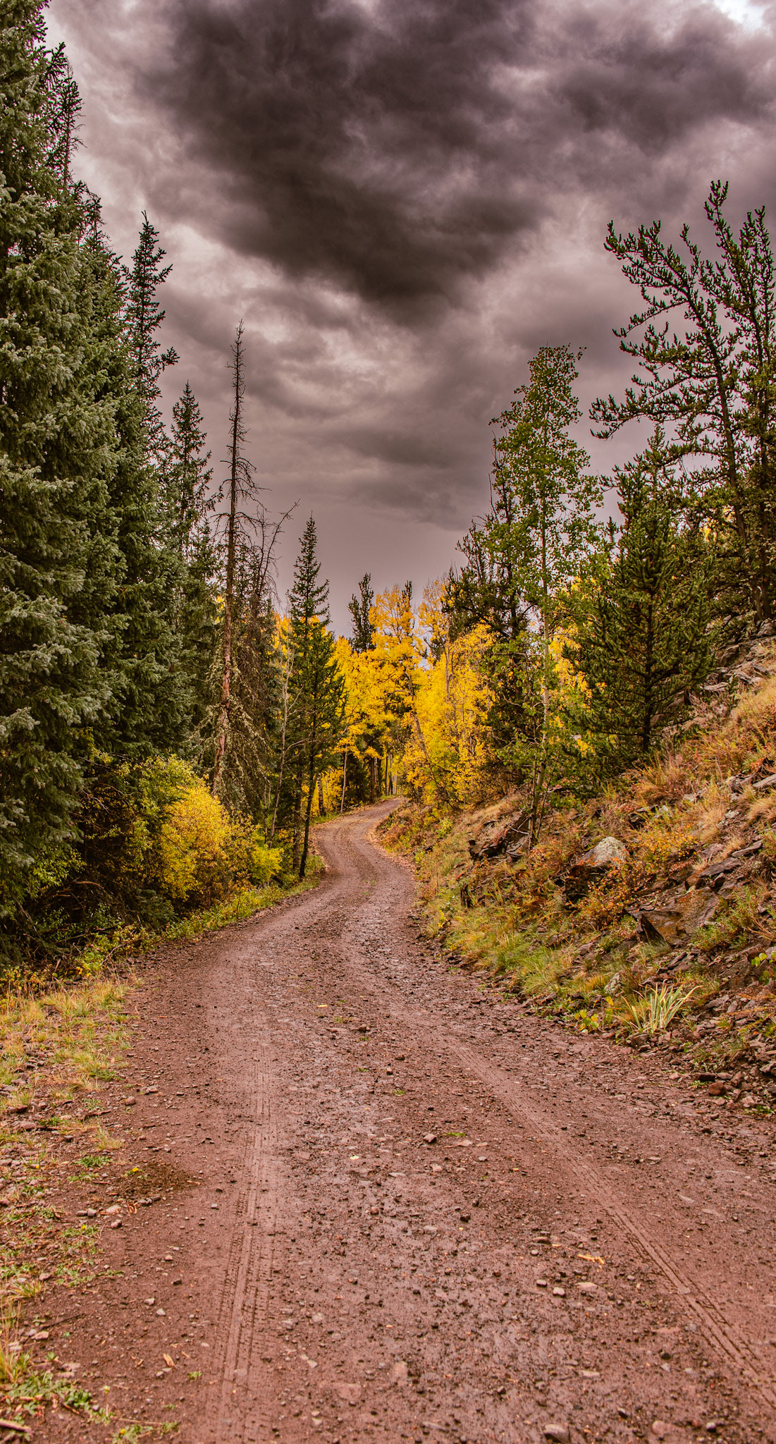 I was driving up the trail and didn't realize the scene behind me.  Could do without my tread marks, but still happy with it.