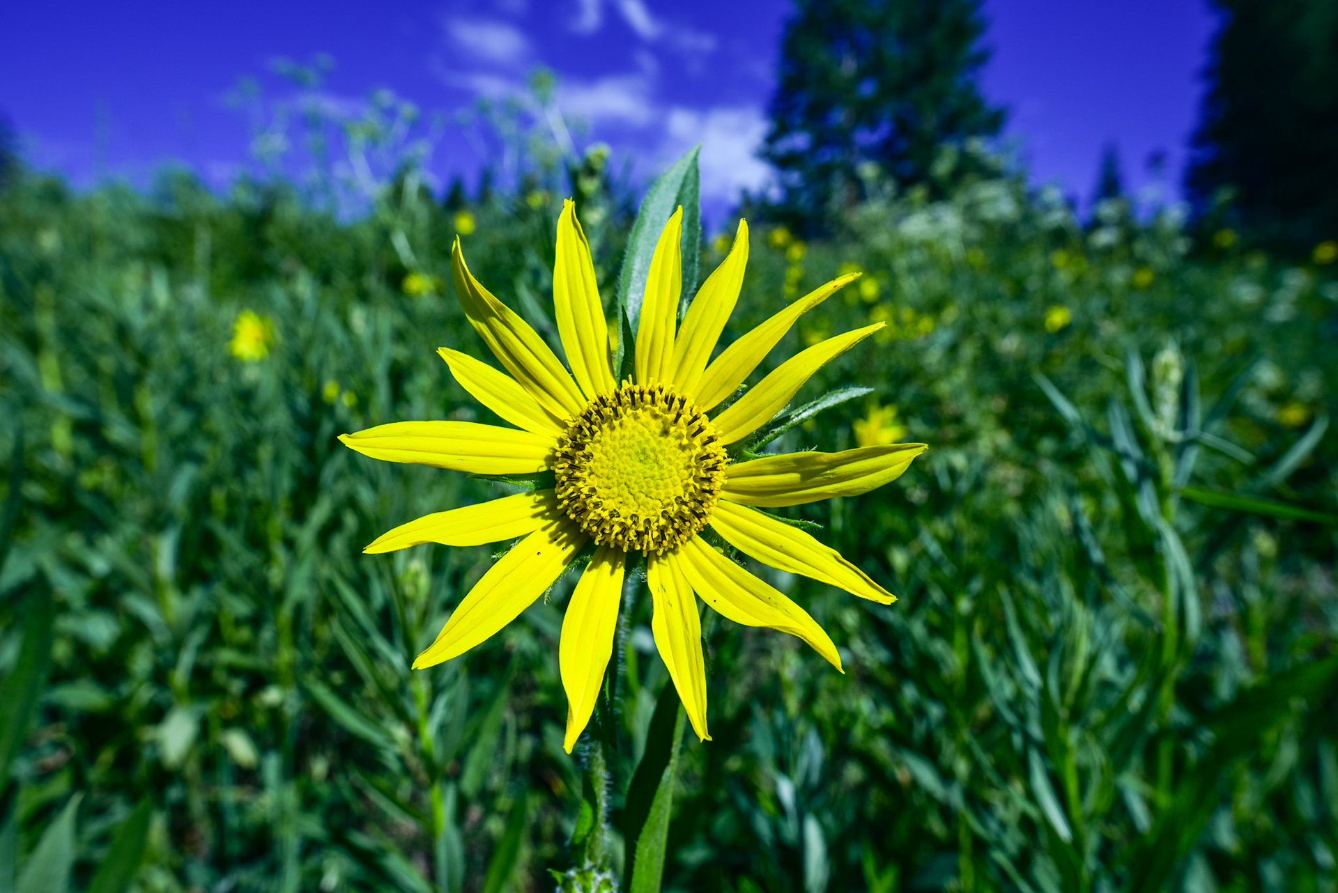 @kpphotogalleries.com