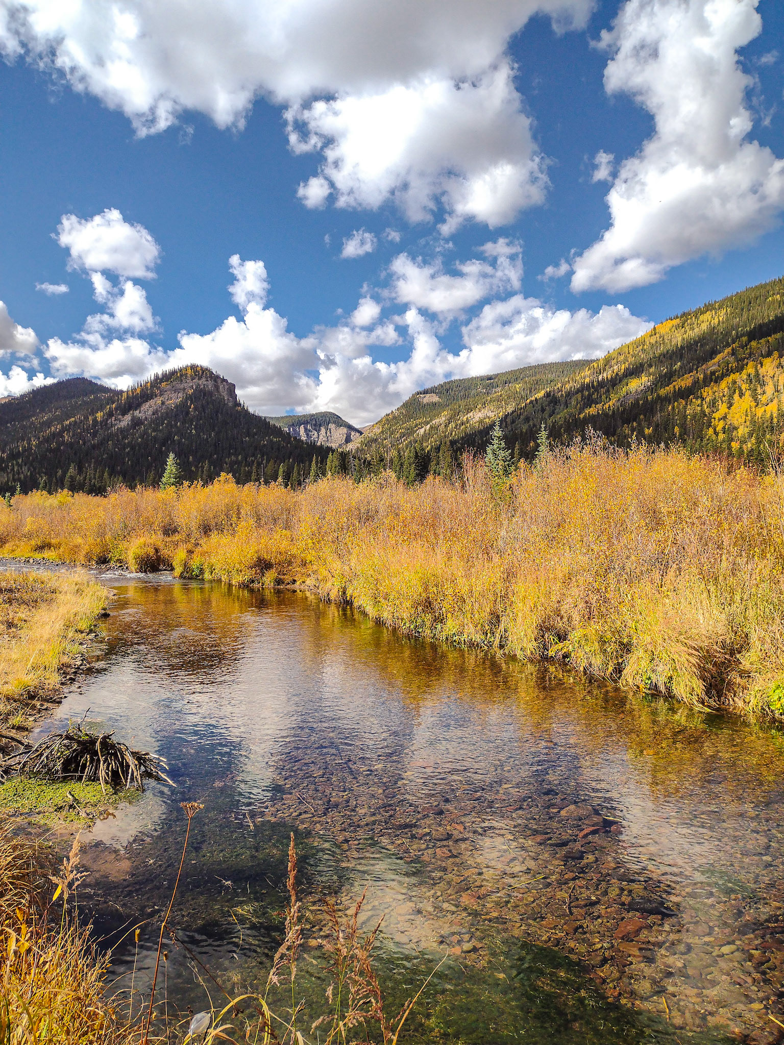 Big Blue Reflections (cell phone capture)