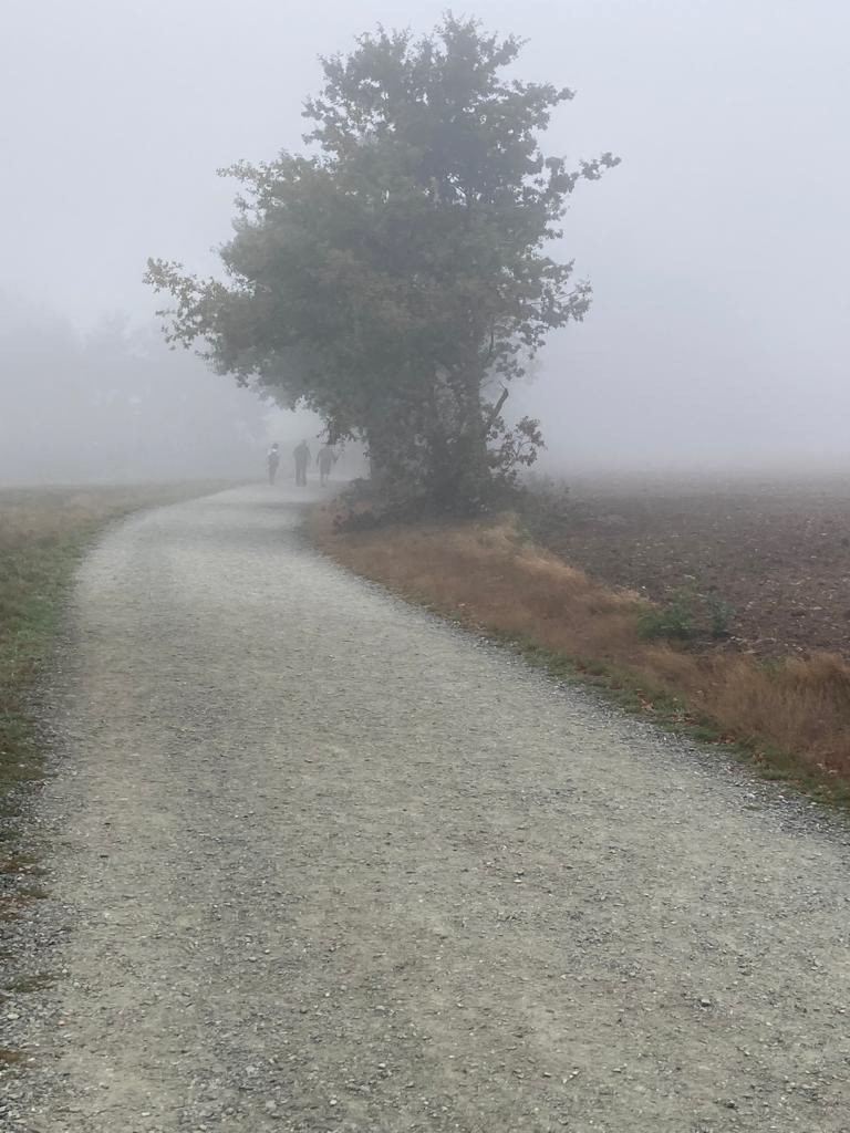 El Camino de Santiago en un mañana de niebla es, pese a todo, una revelación