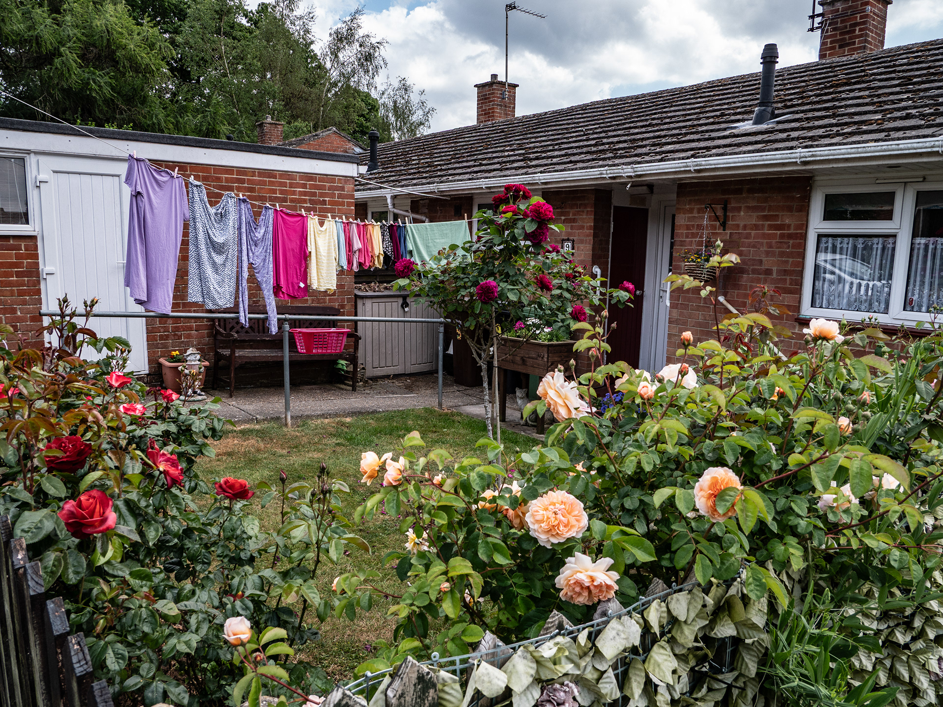 A garden in Bishop's Waltham