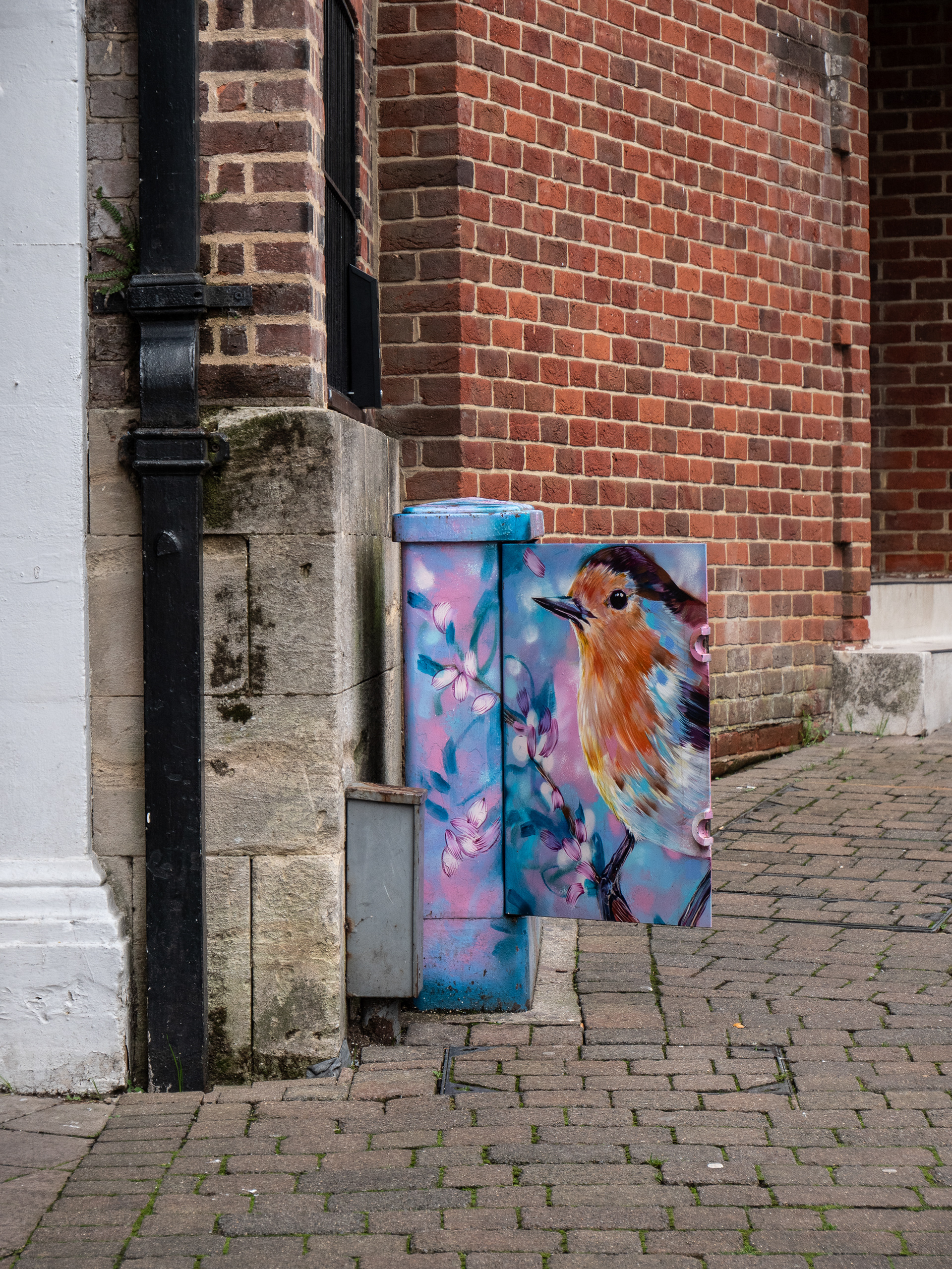 Street art - a robin in Basingstoke