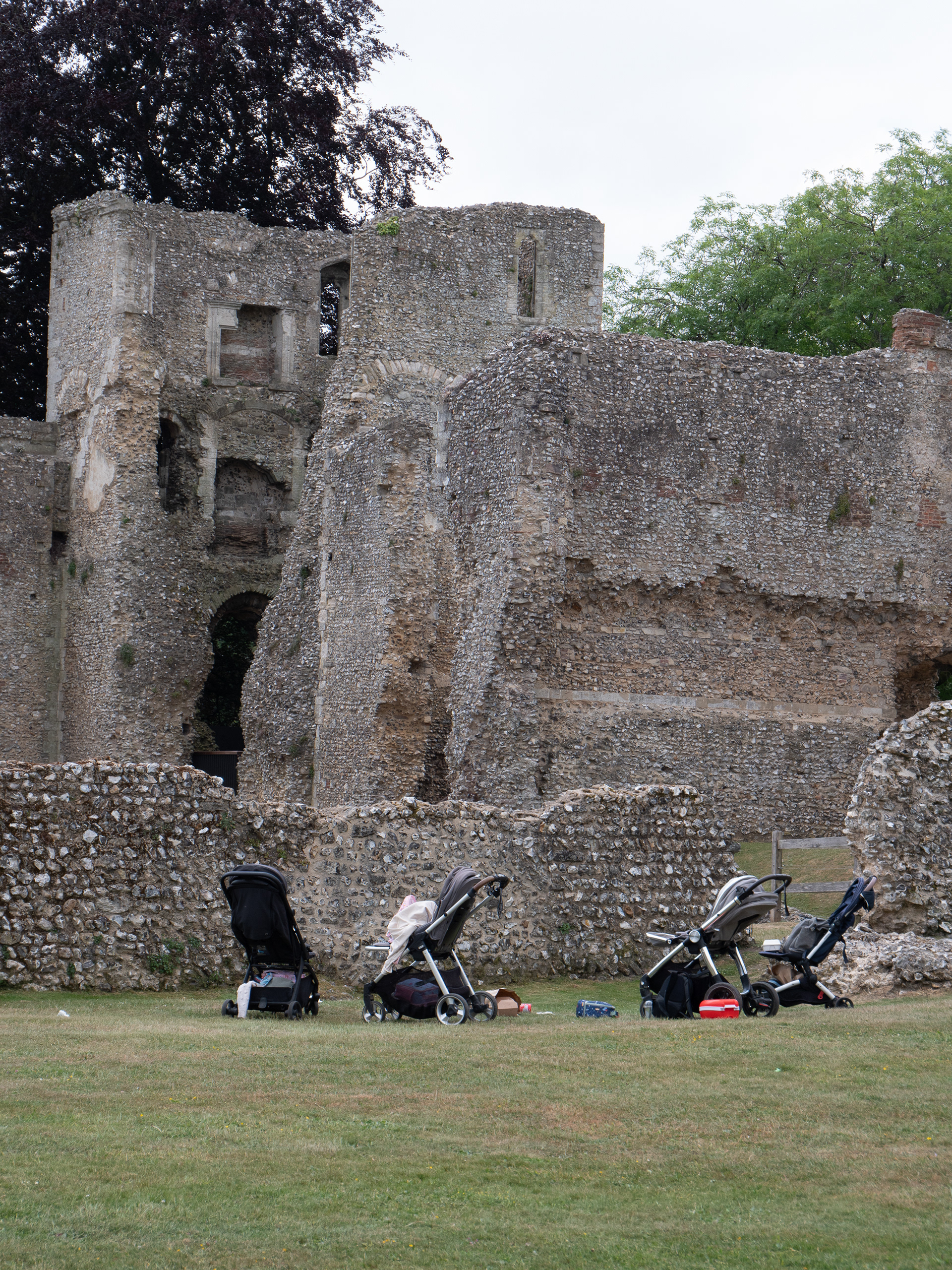 Bishop's Waltham Palace