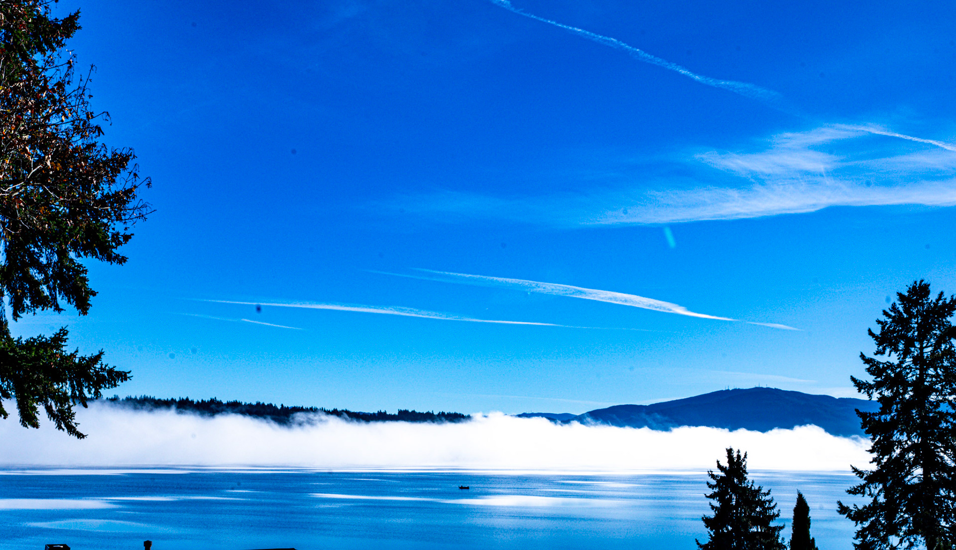 Misty Lake Sammamish Washington