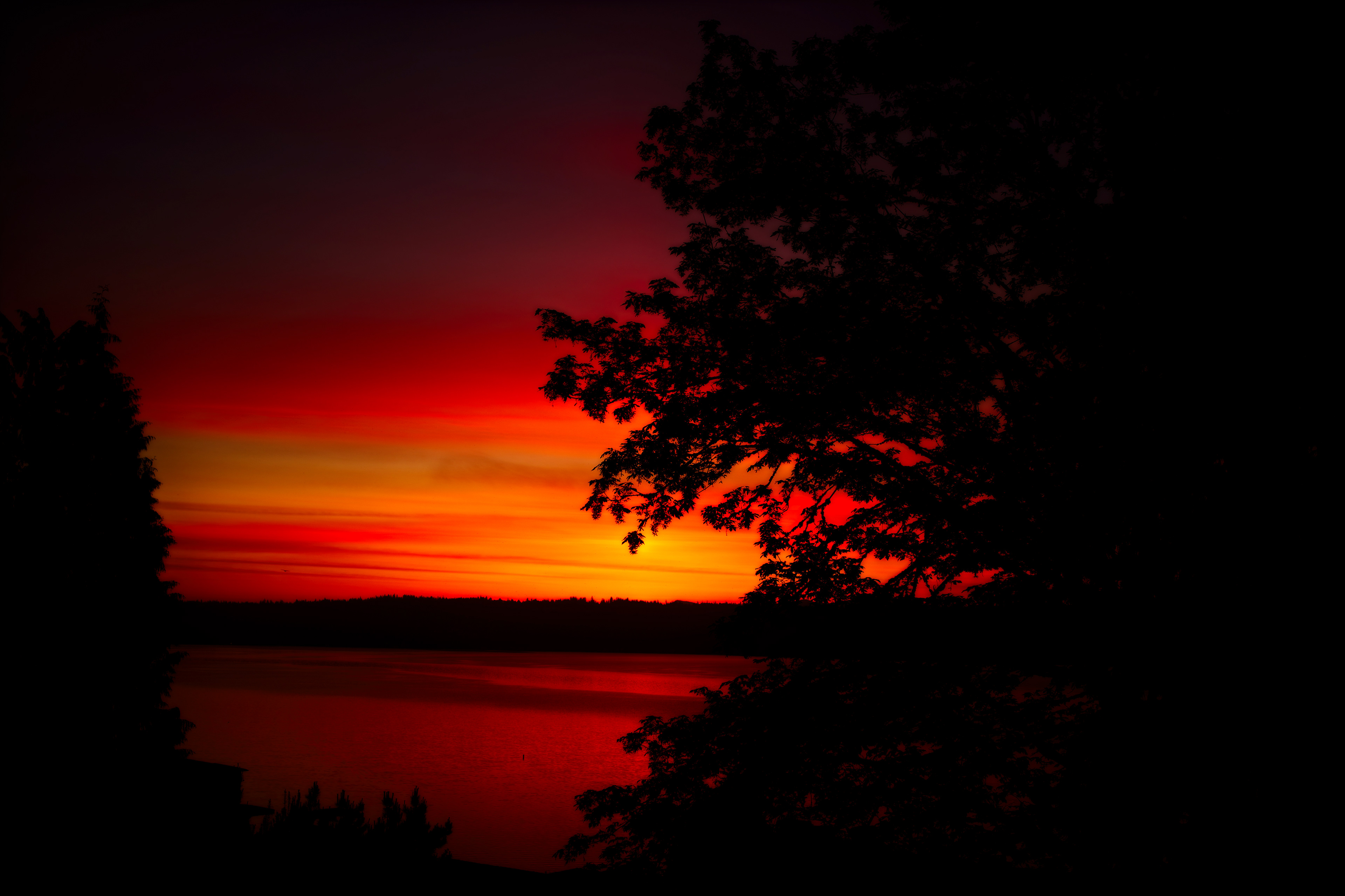Lake Sammamish Sunset Washignton  Seattle