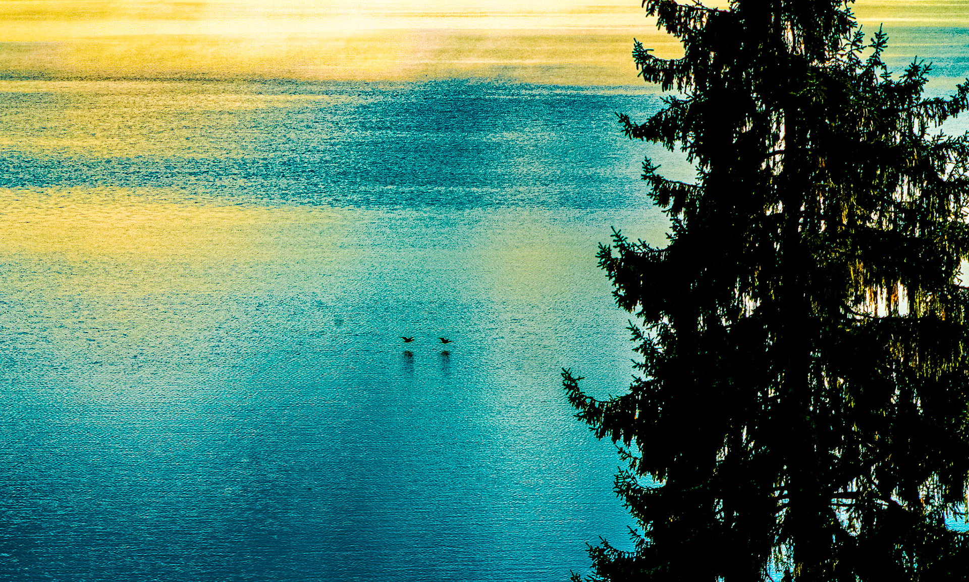 lake sammamish Washington