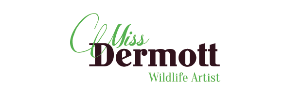 Miss Dermott - Wildlife Artist