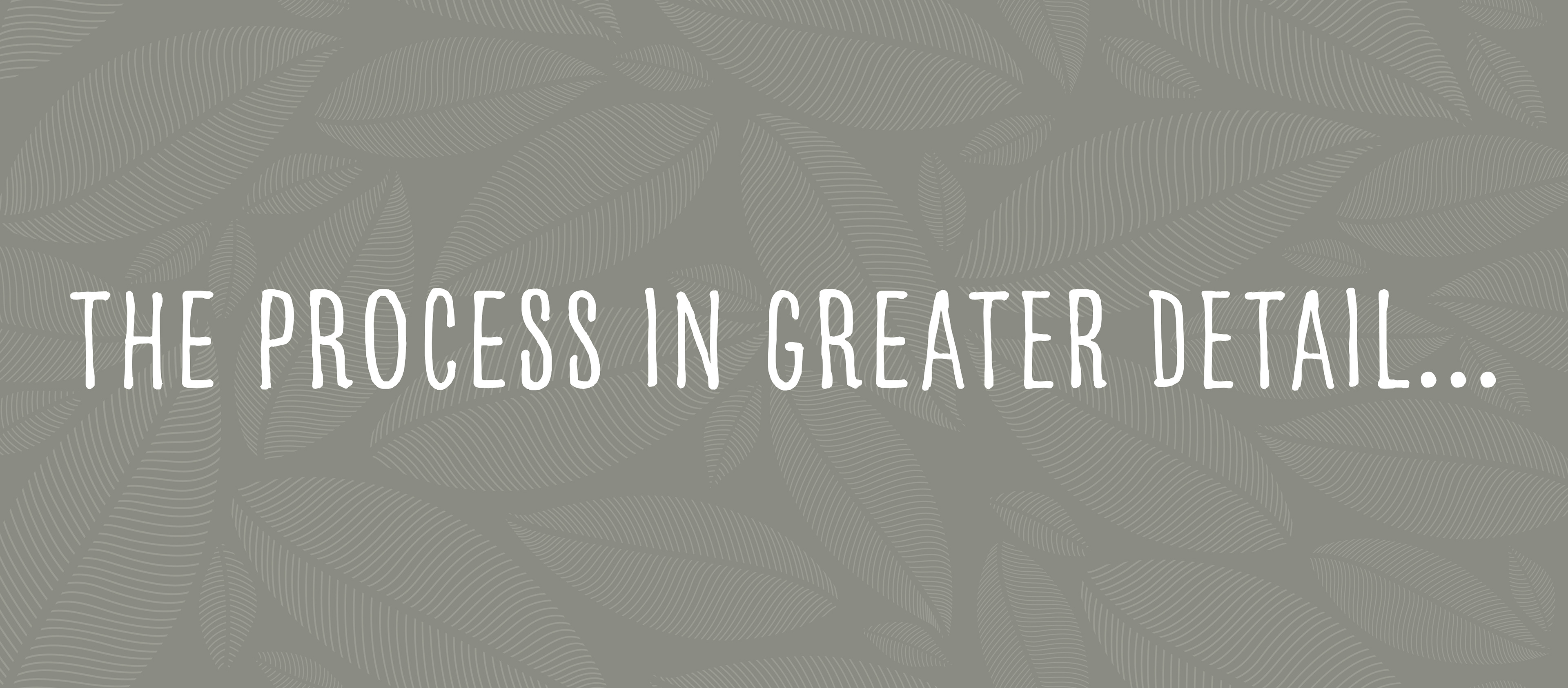 The process in greater detail listed below.