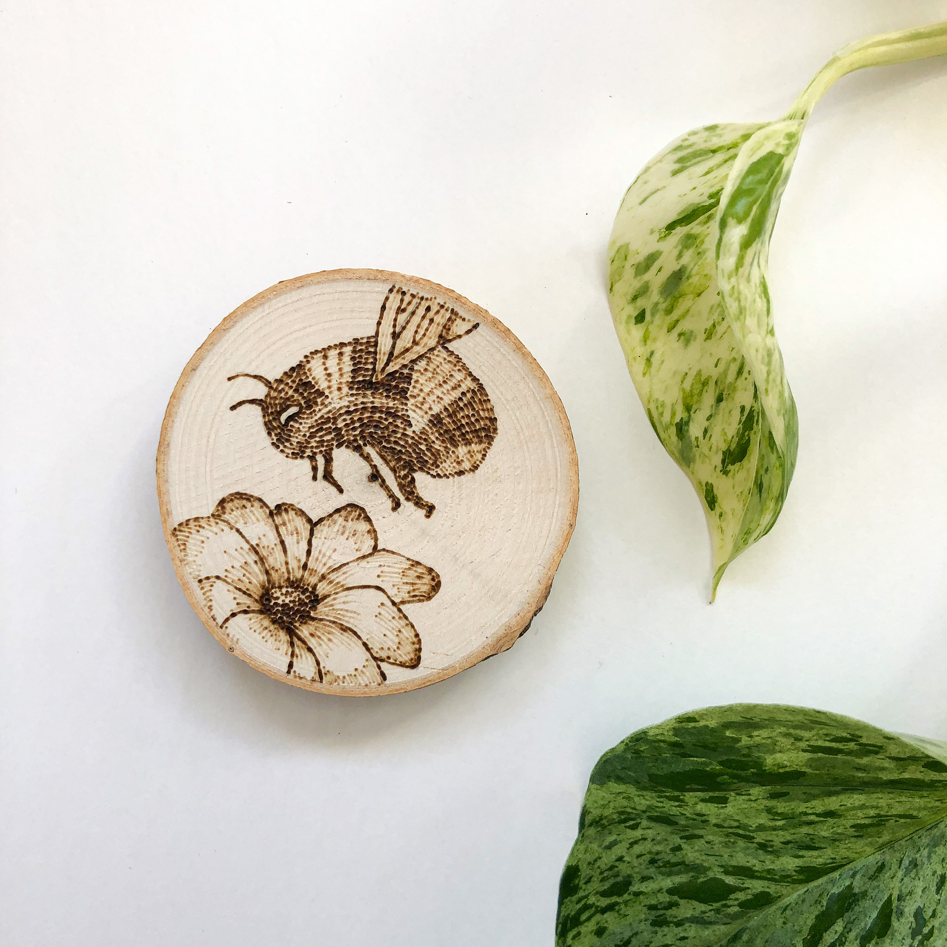Bee and flower