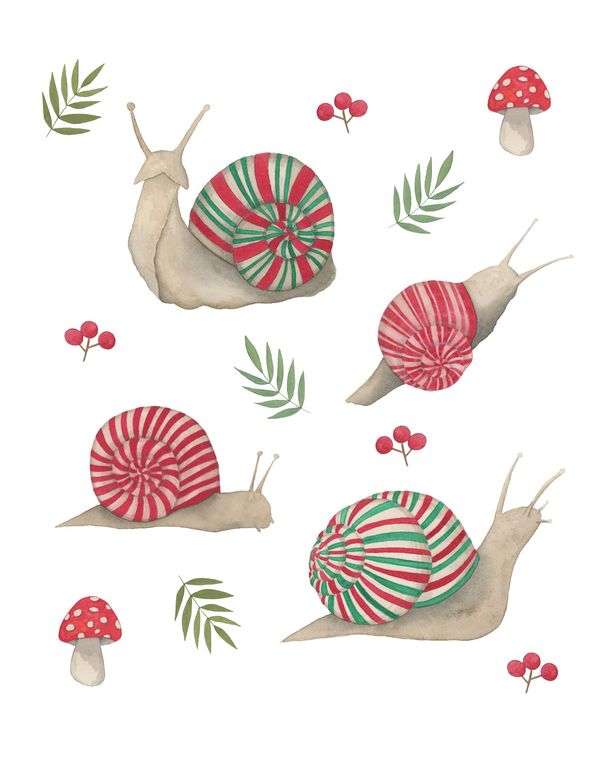 Peppermint Snails