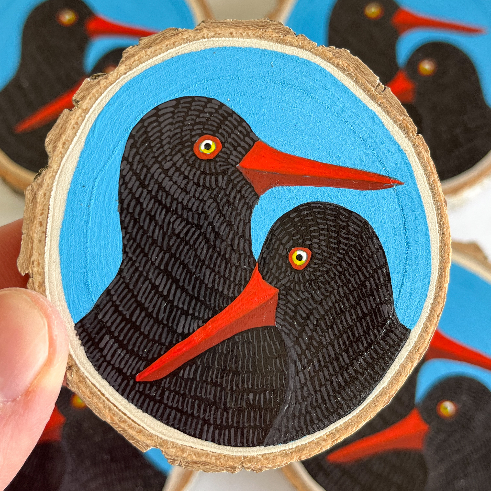 Oystercatchers