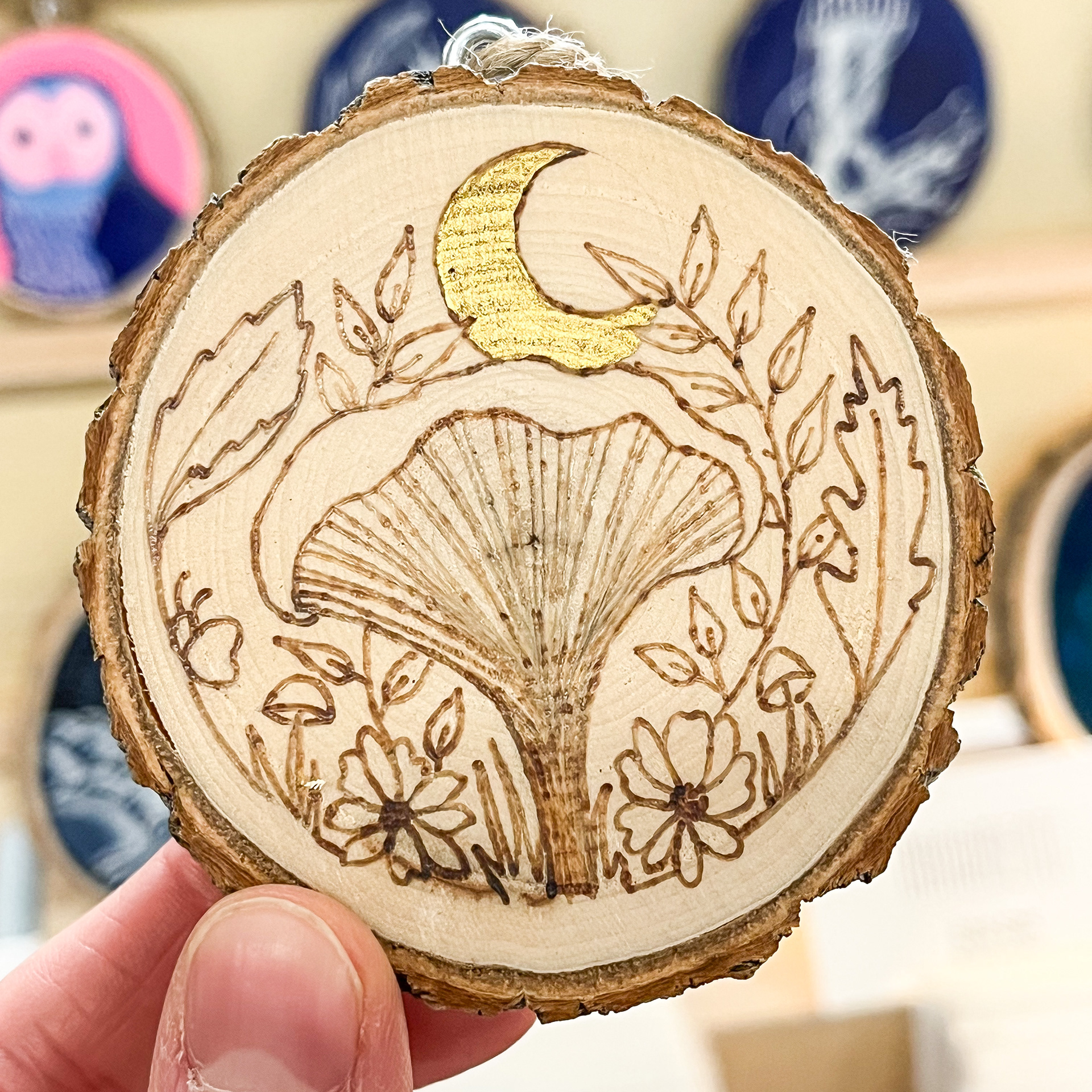 Forest finds and moonlight