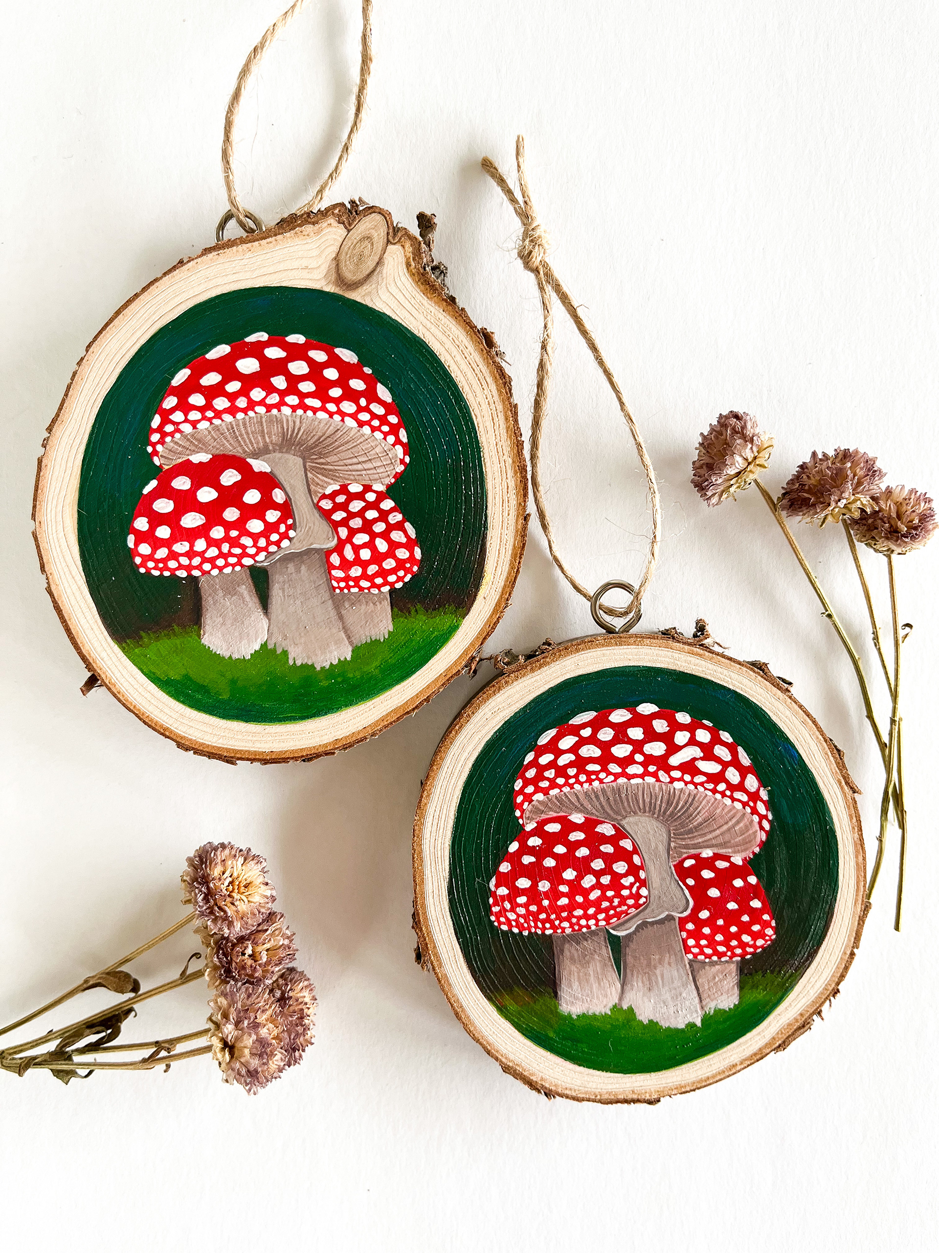 Amanita muscaria