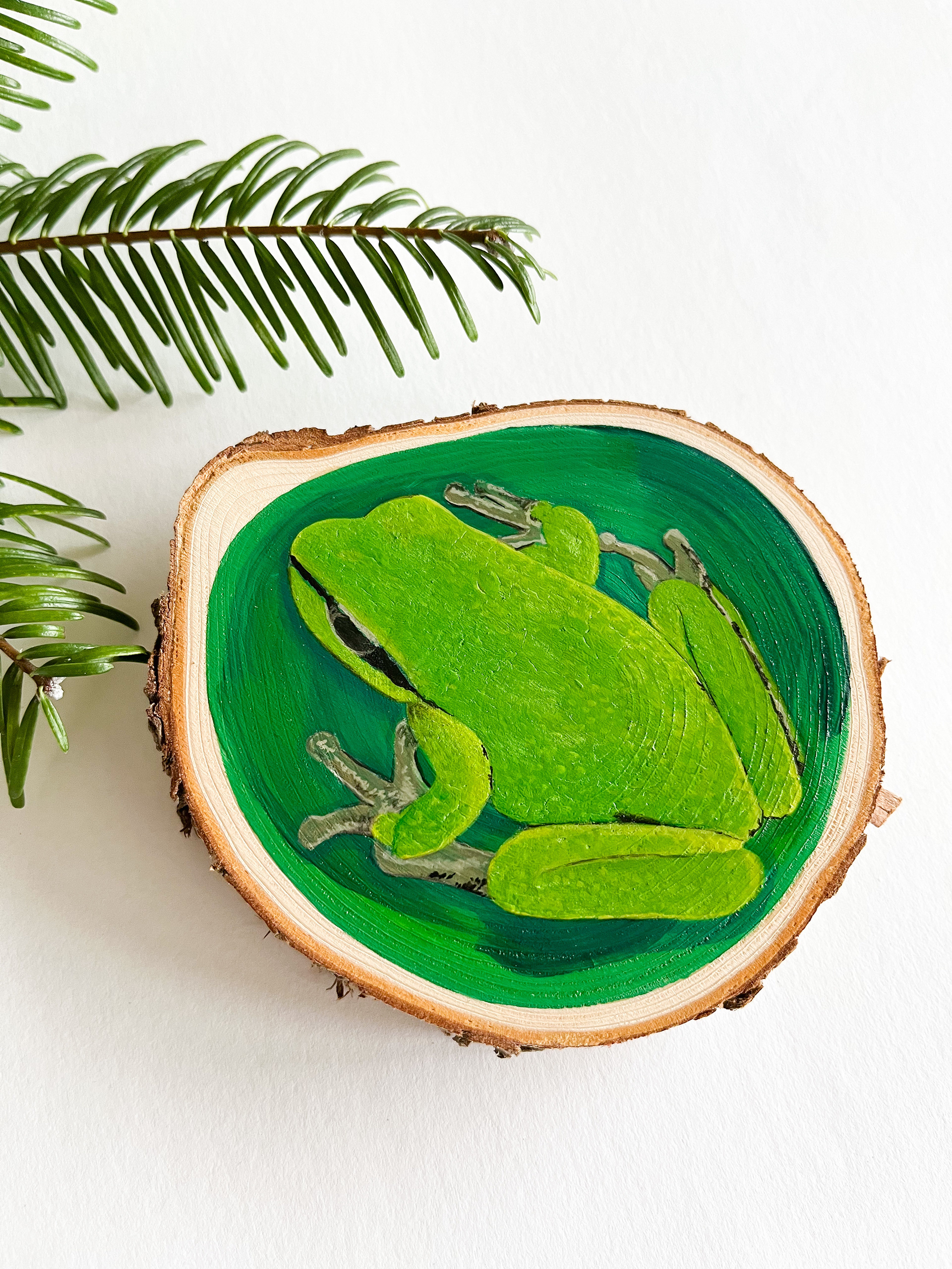 Pacific tree frog