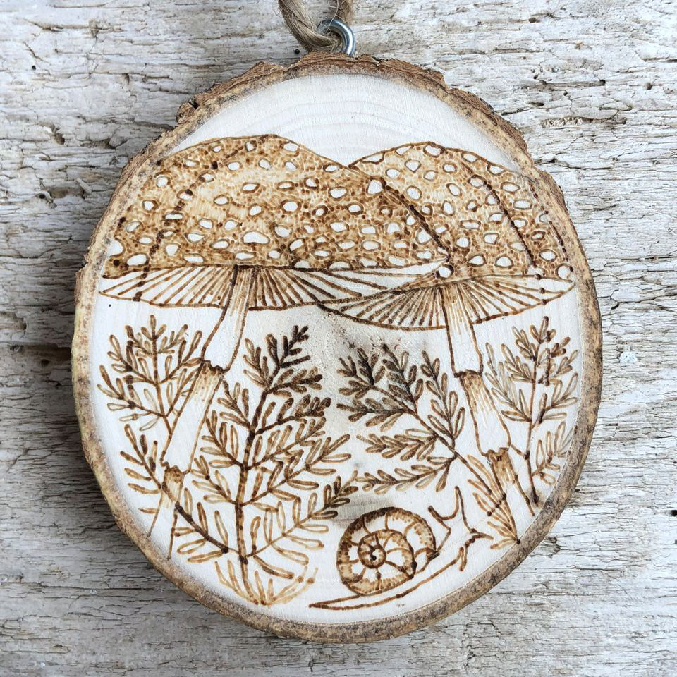 Snail and mushrooms