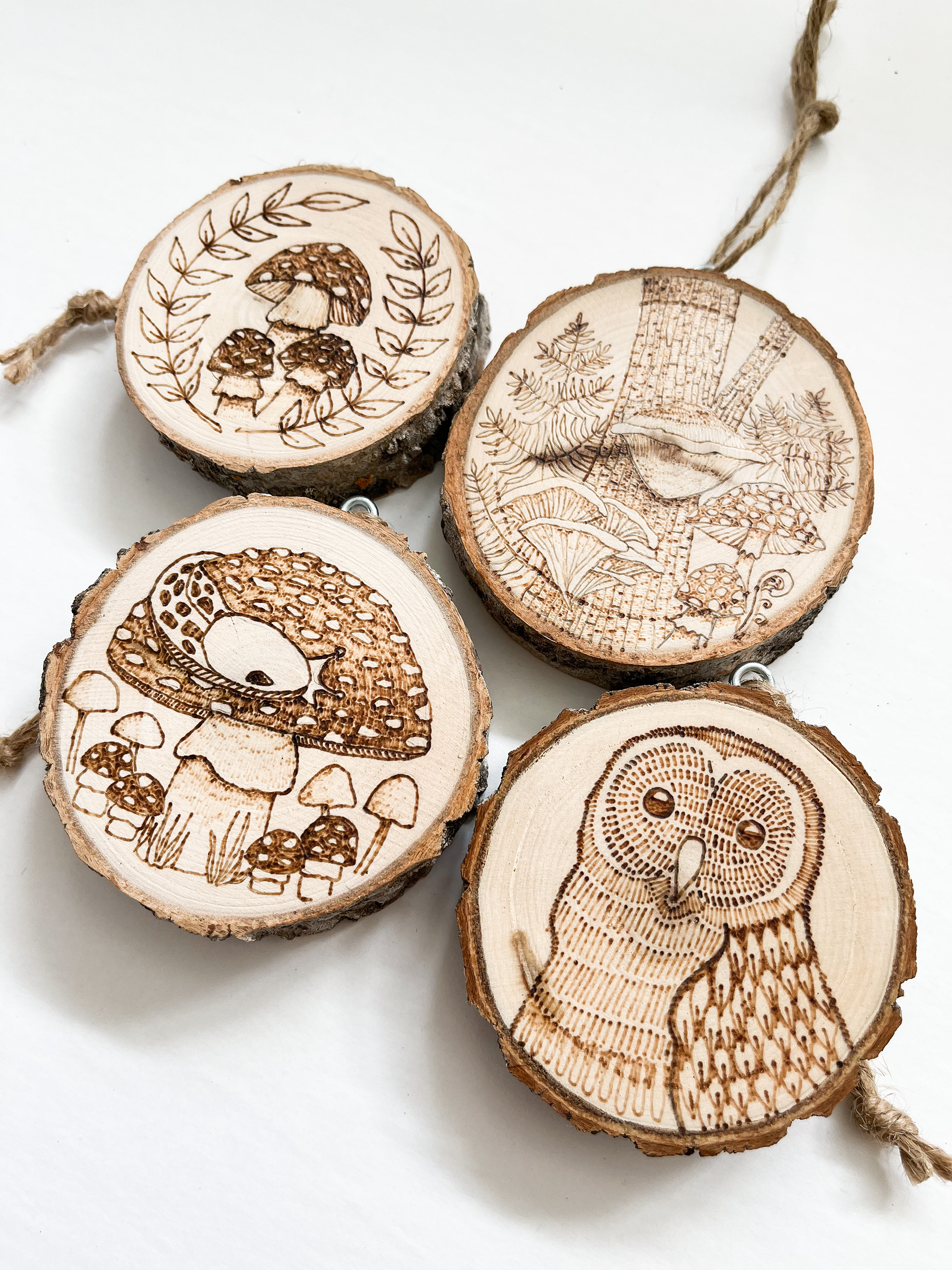 A collection of wood burned rounds