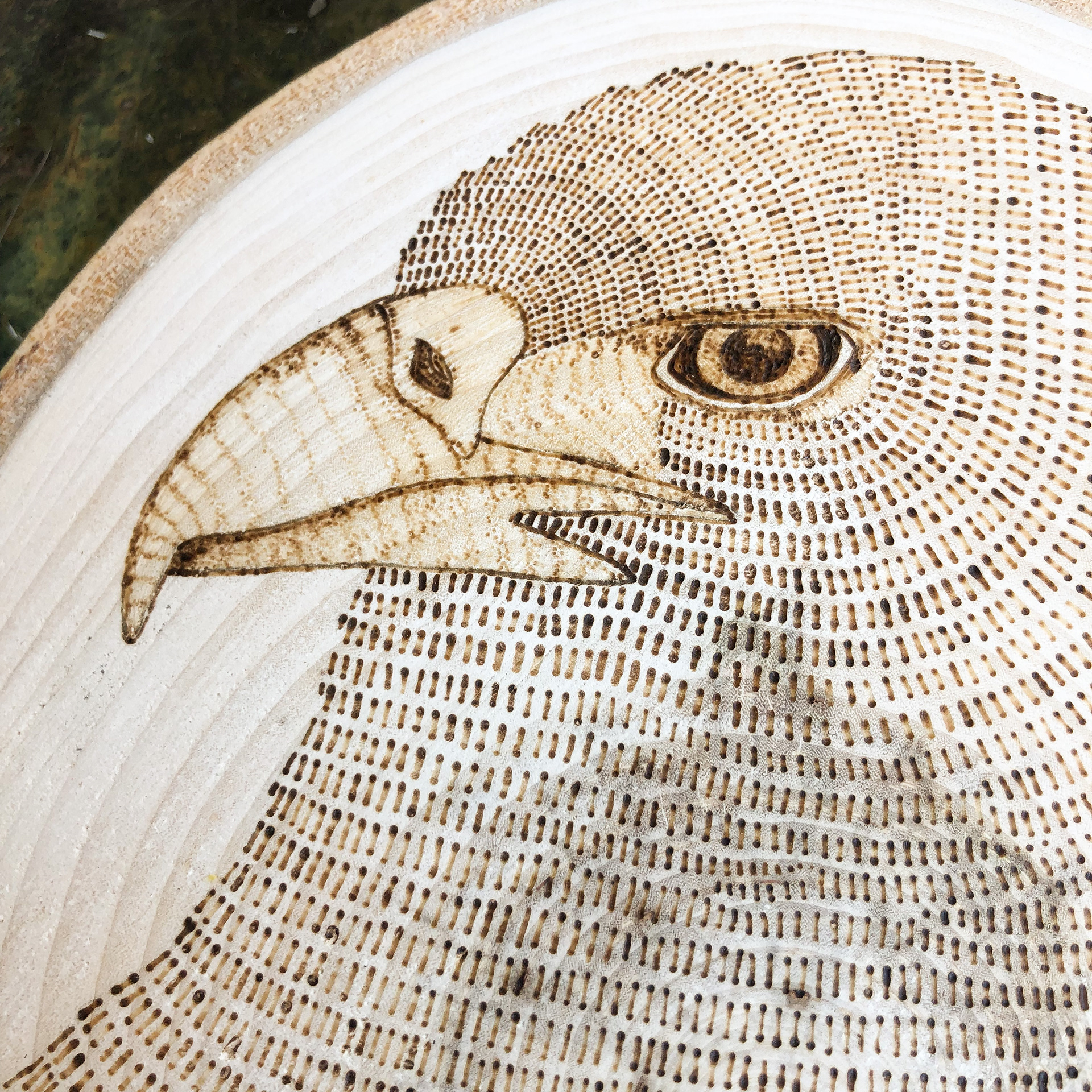 Close detail of the Eagle