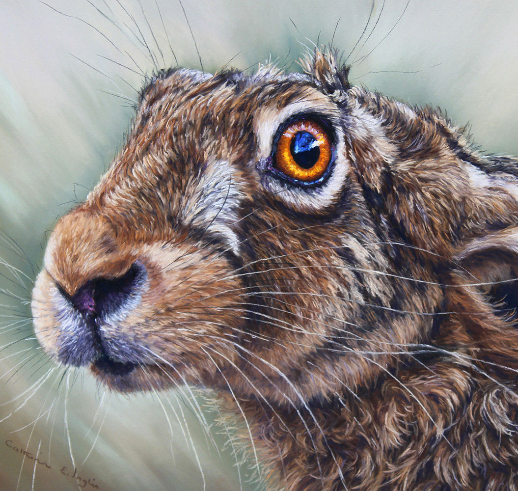 Catherine Inglis