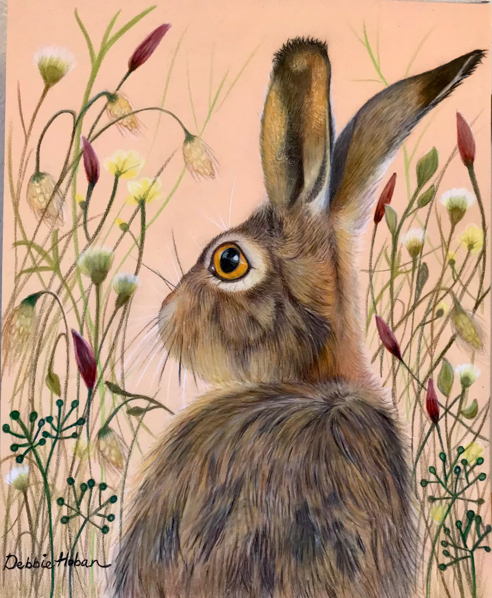 Debbie Hoban
