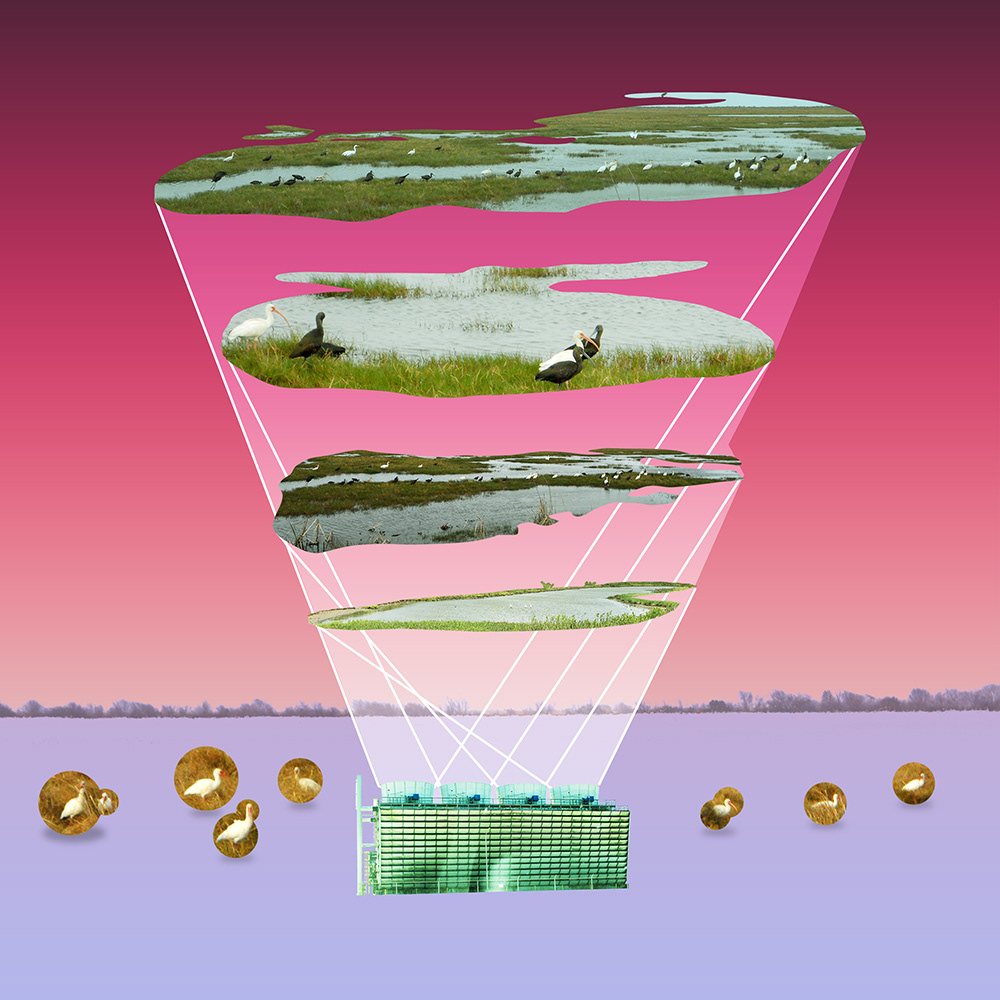 Tidal Influence
