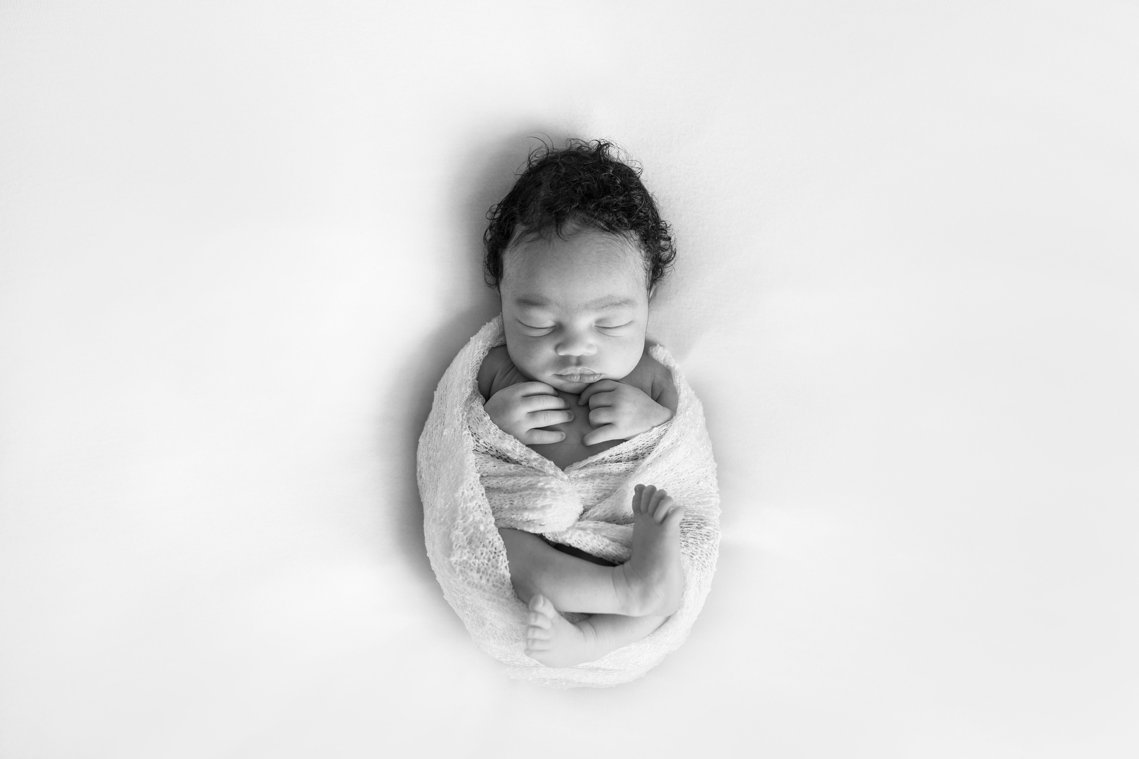 newborn photo nyc