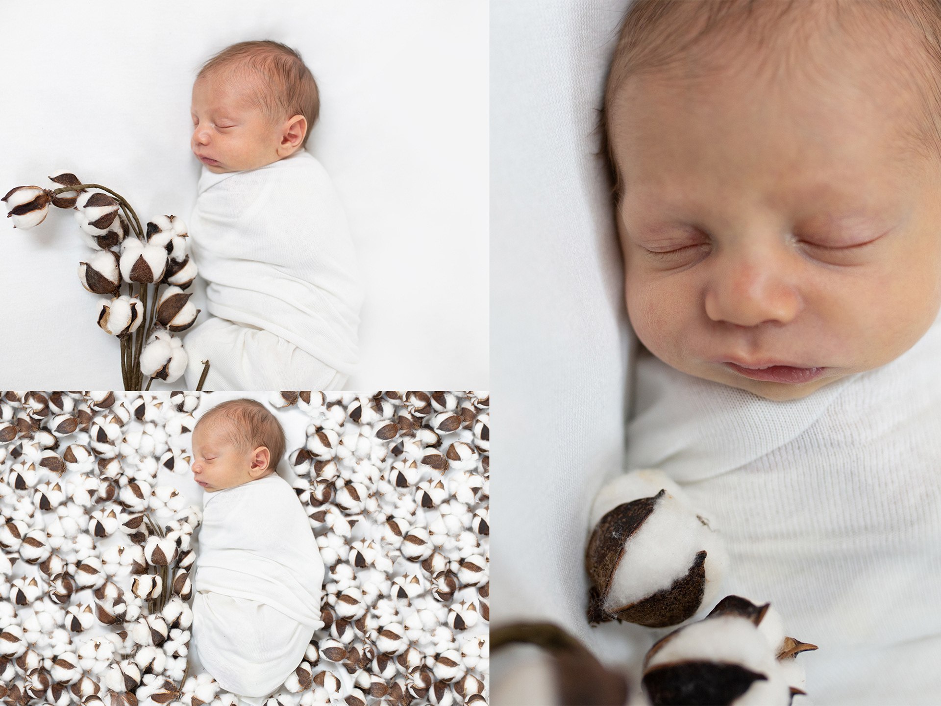 newborn photography nj cotton