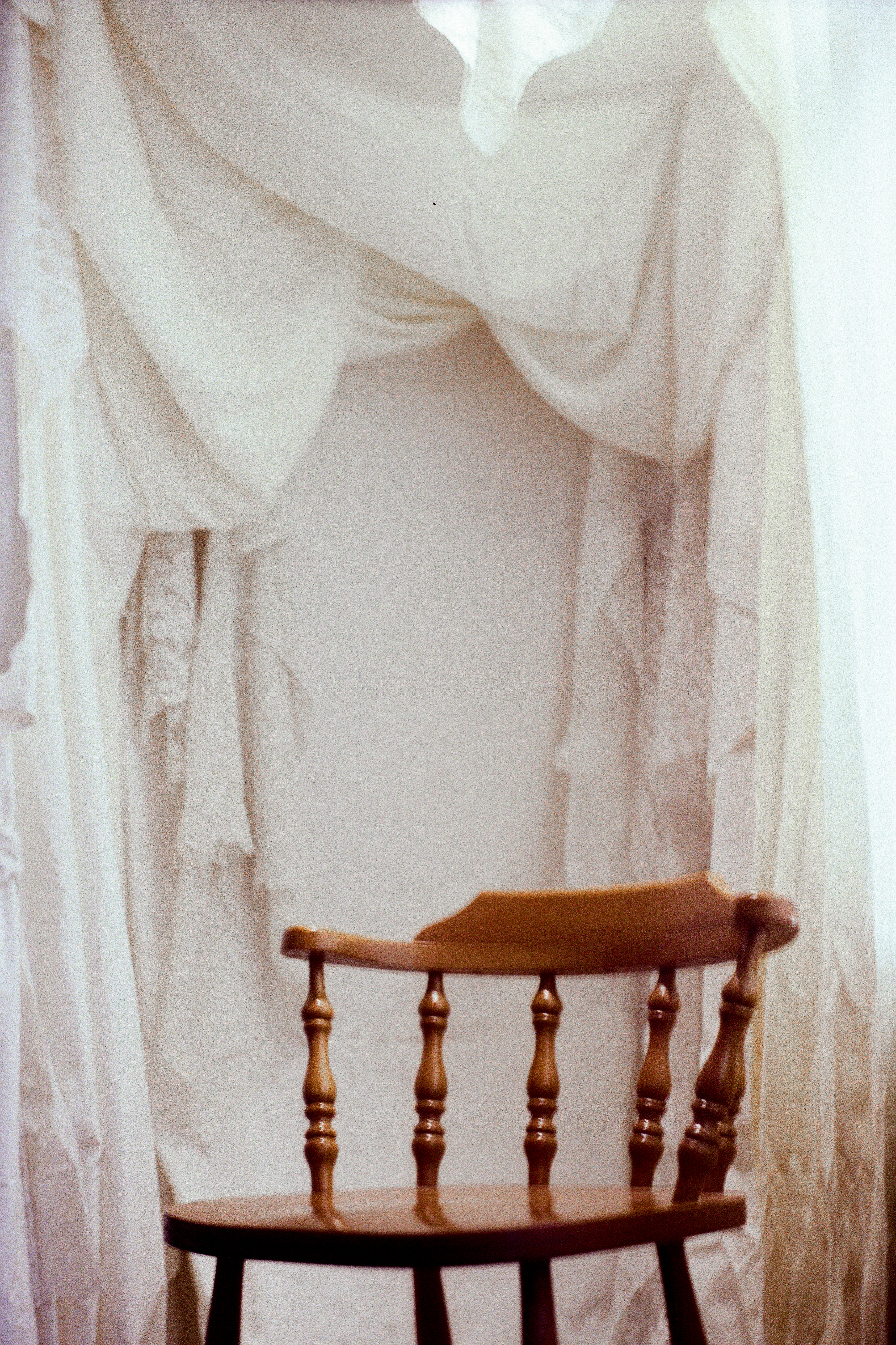 Harvest at the Entrance