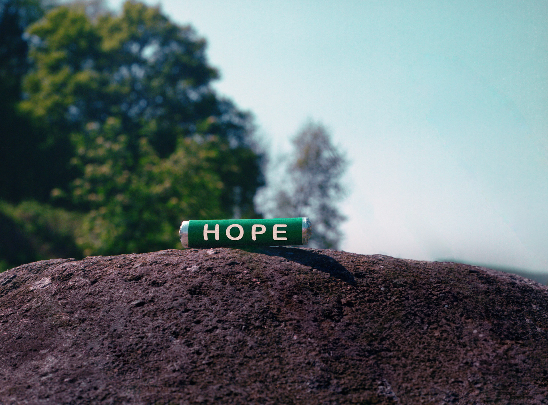 Diatom-  Featured at South Bank, Factory Int &  STEAMHouse  