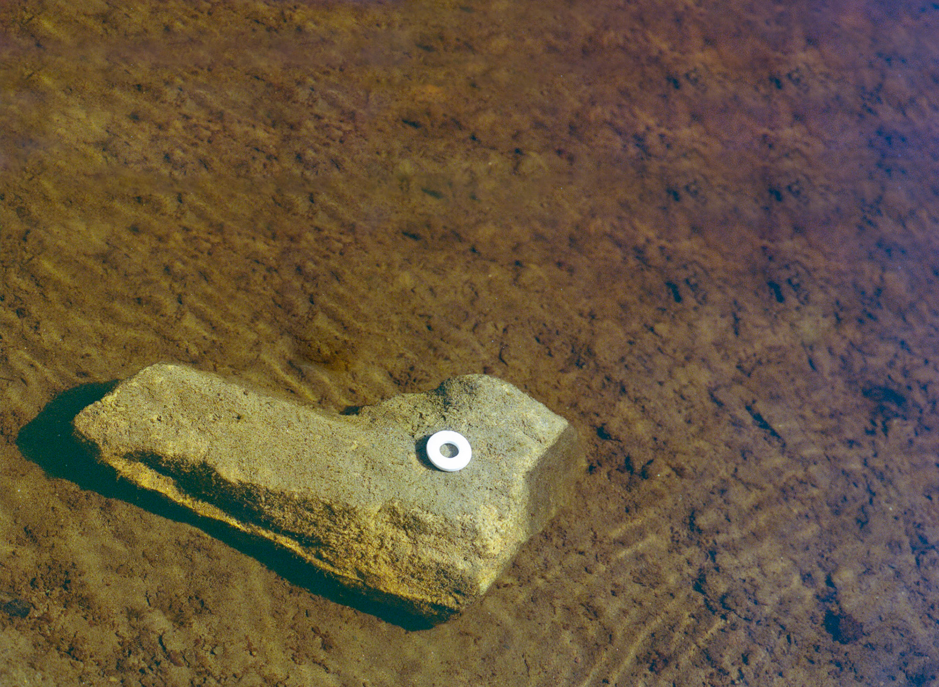 Diatom-  Featured at South Bank, Factory Int &  STEAMHouse  