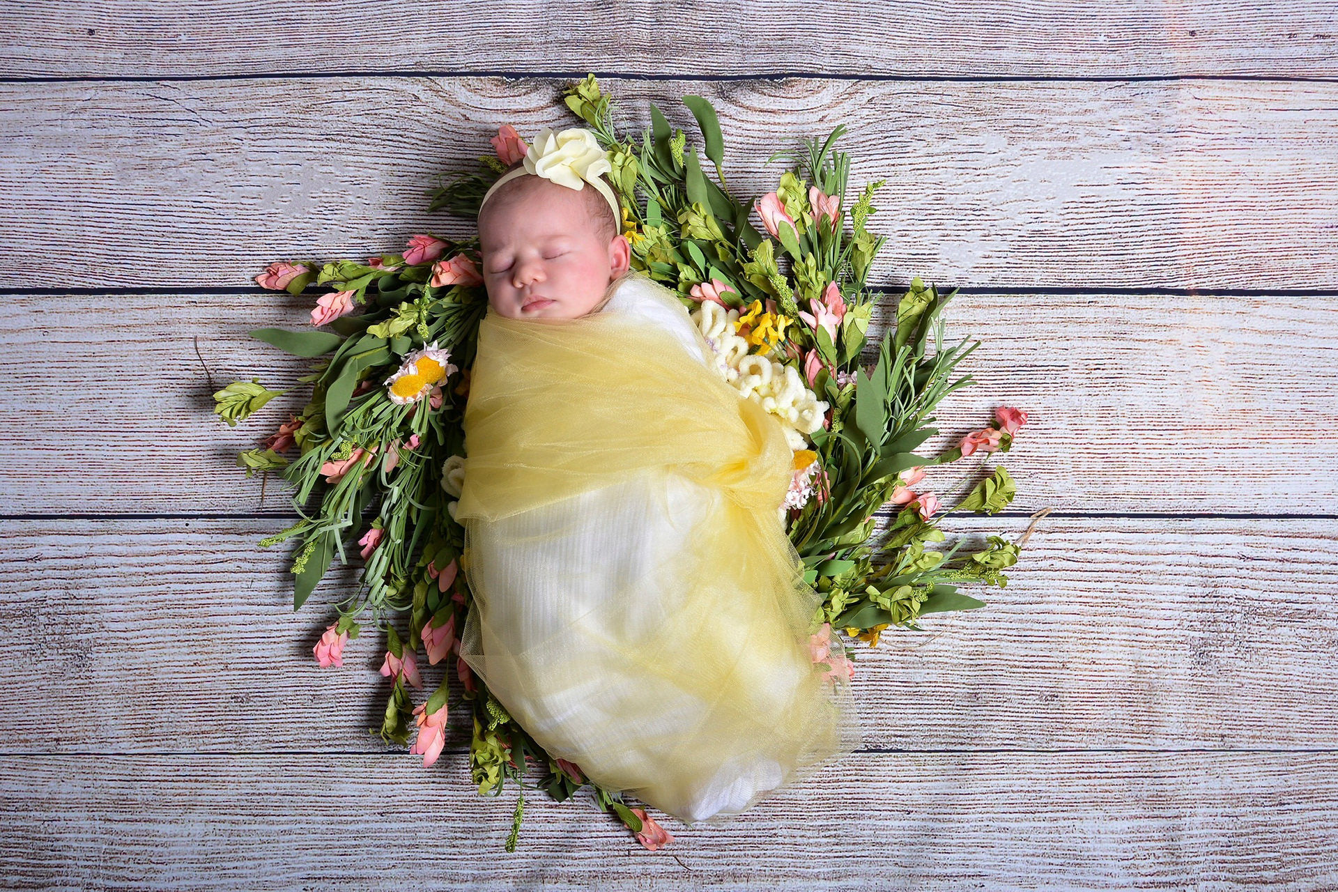 Newborns