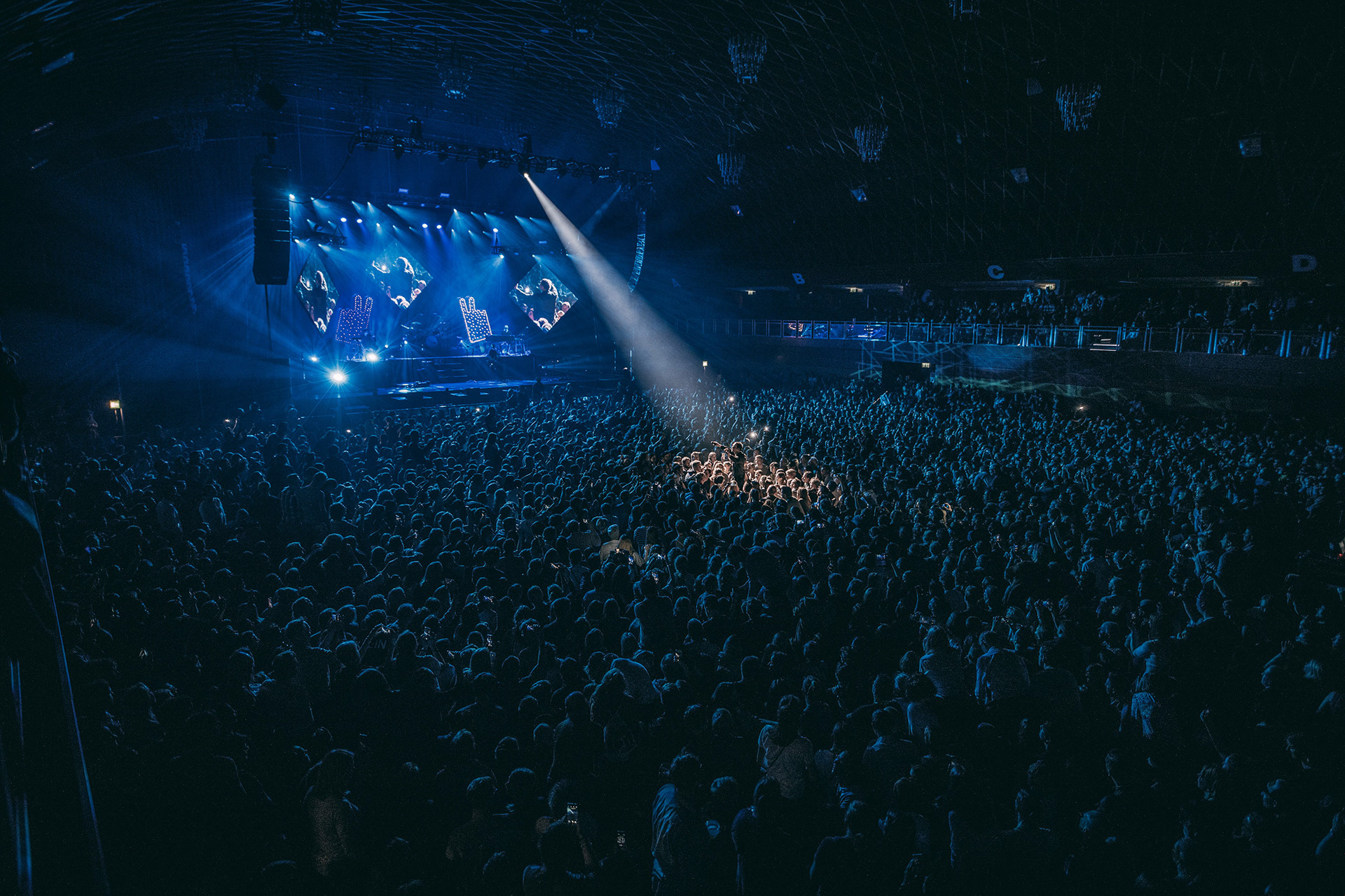 Bosse 2019
